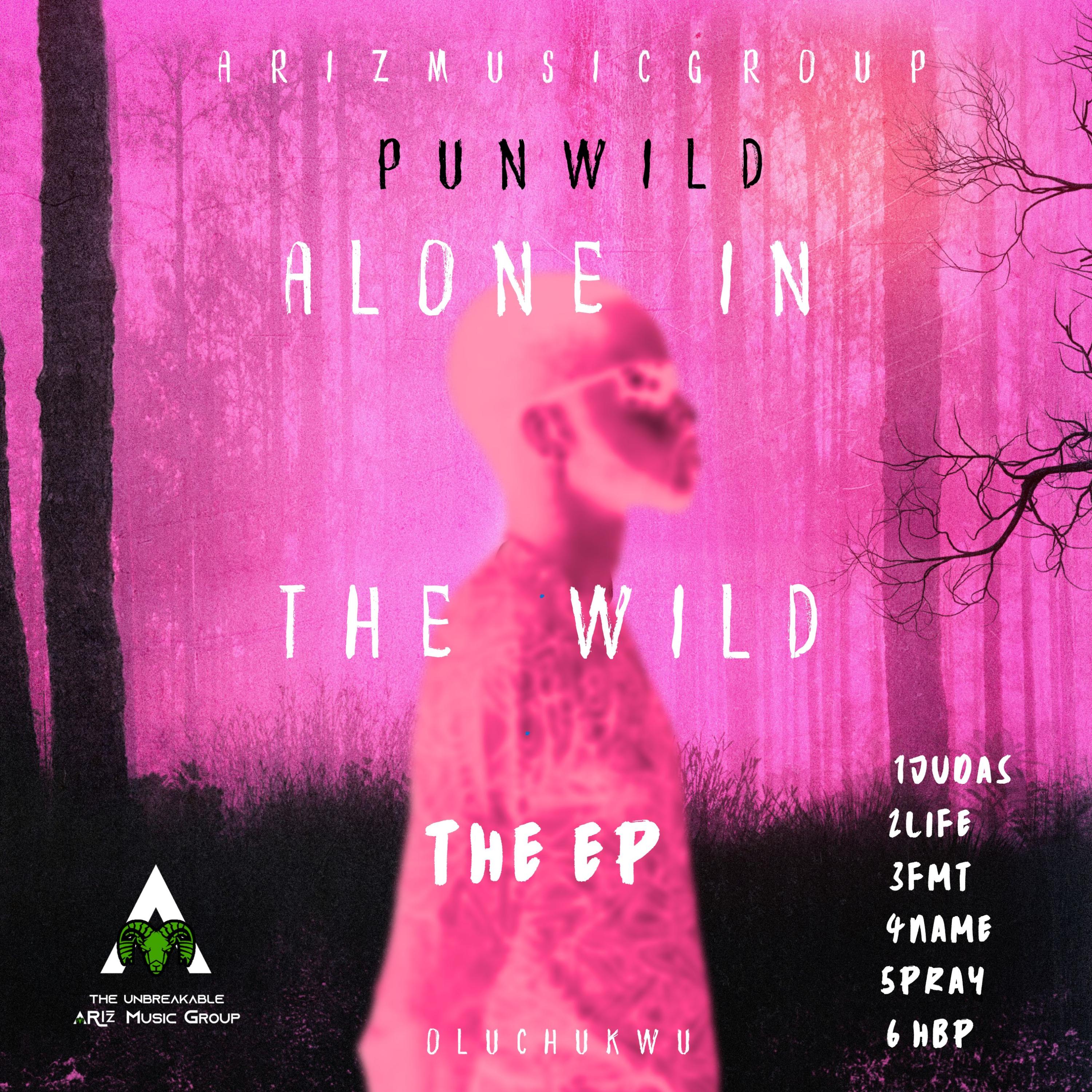 Alone in the wild artwork