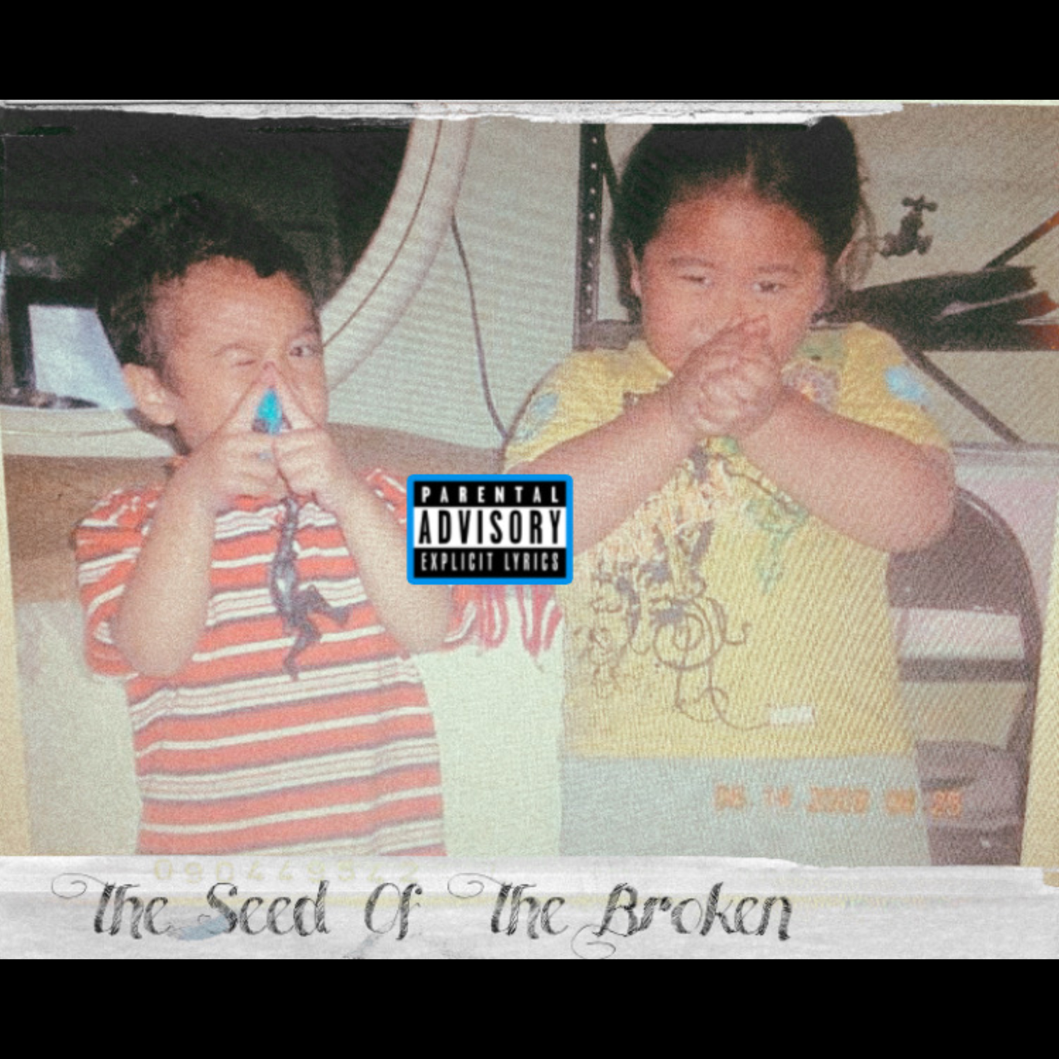 The Seed Of The Broken artwork