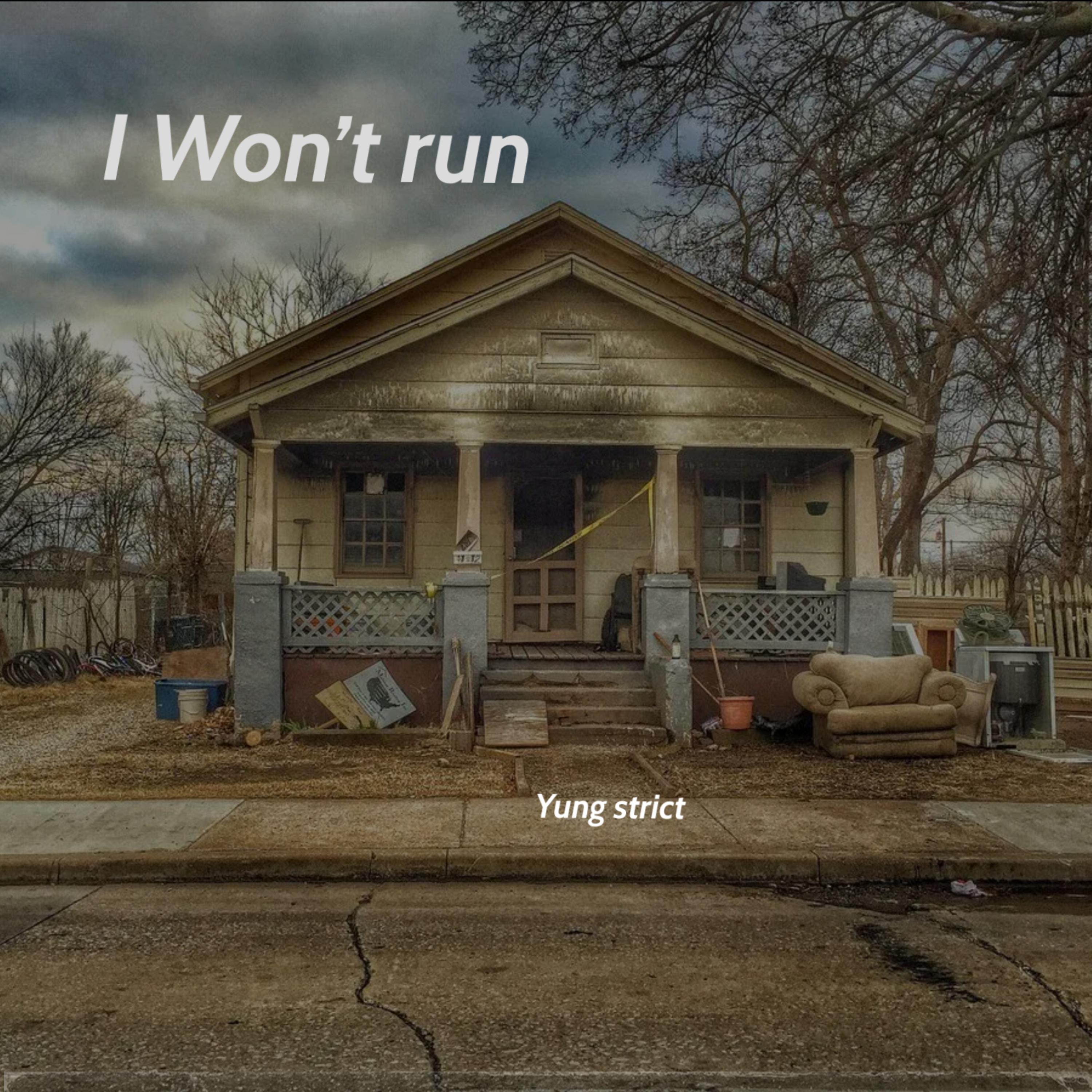 I Won't Run artwork