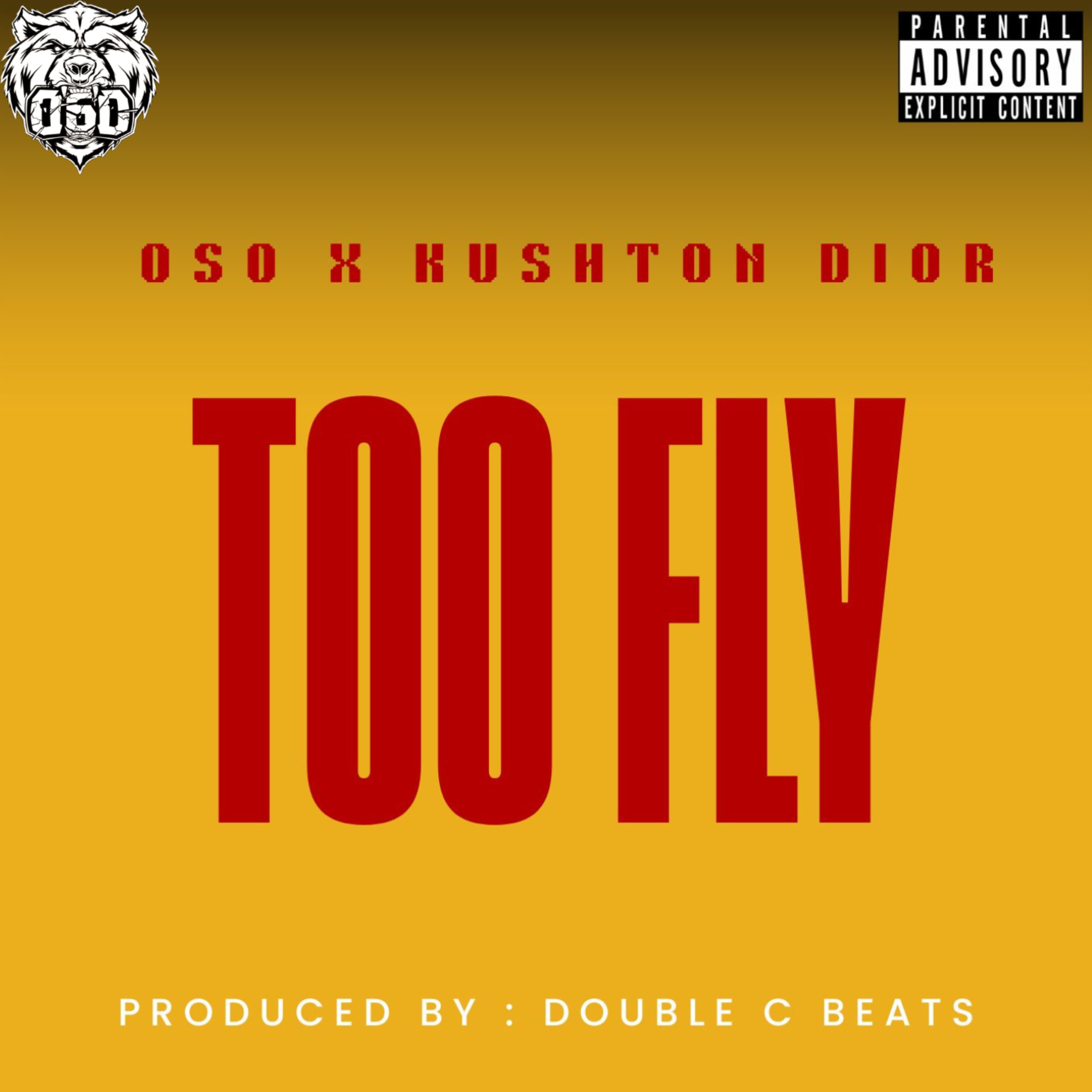 Too Fly by Oso cover art