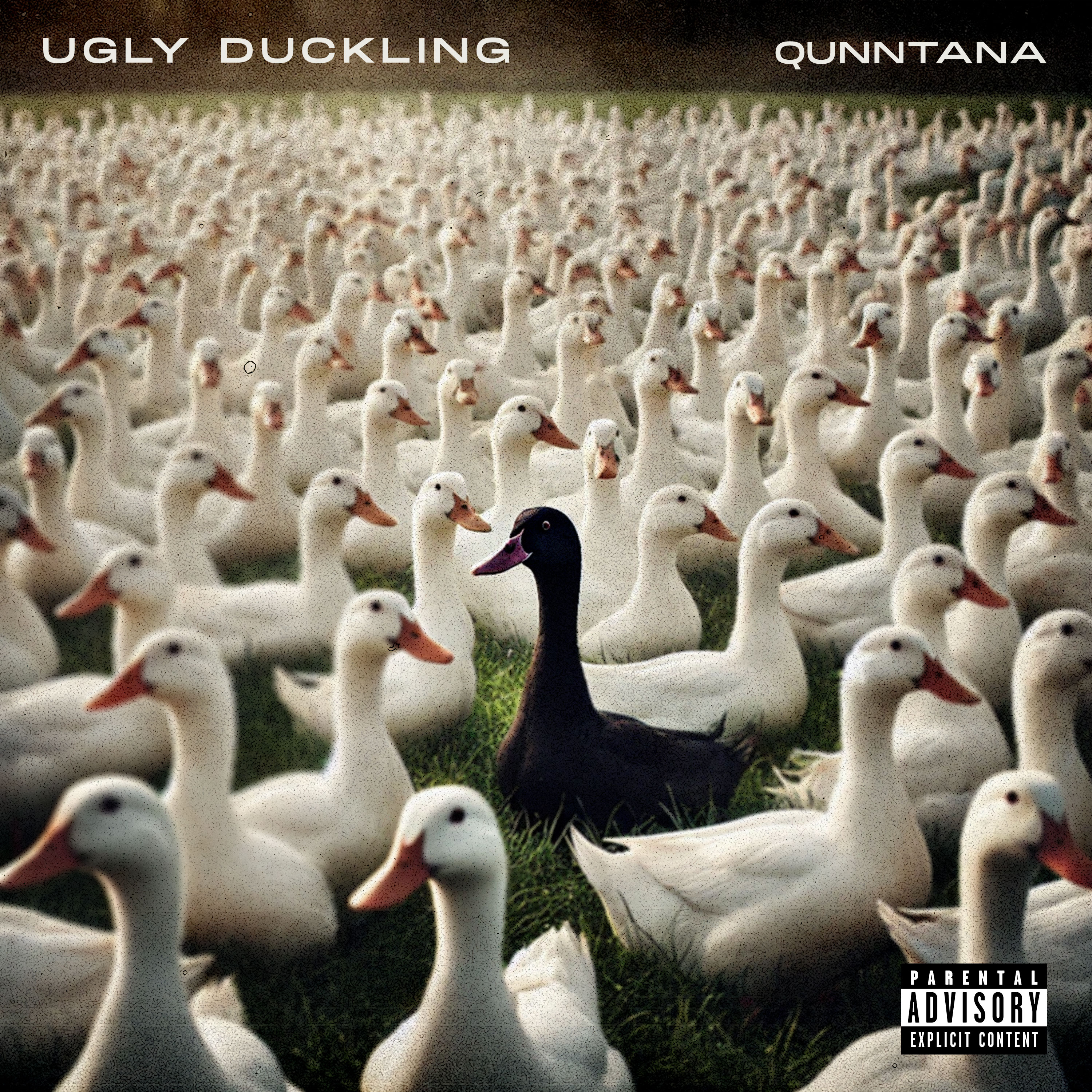 The Ugly Duckling artwork