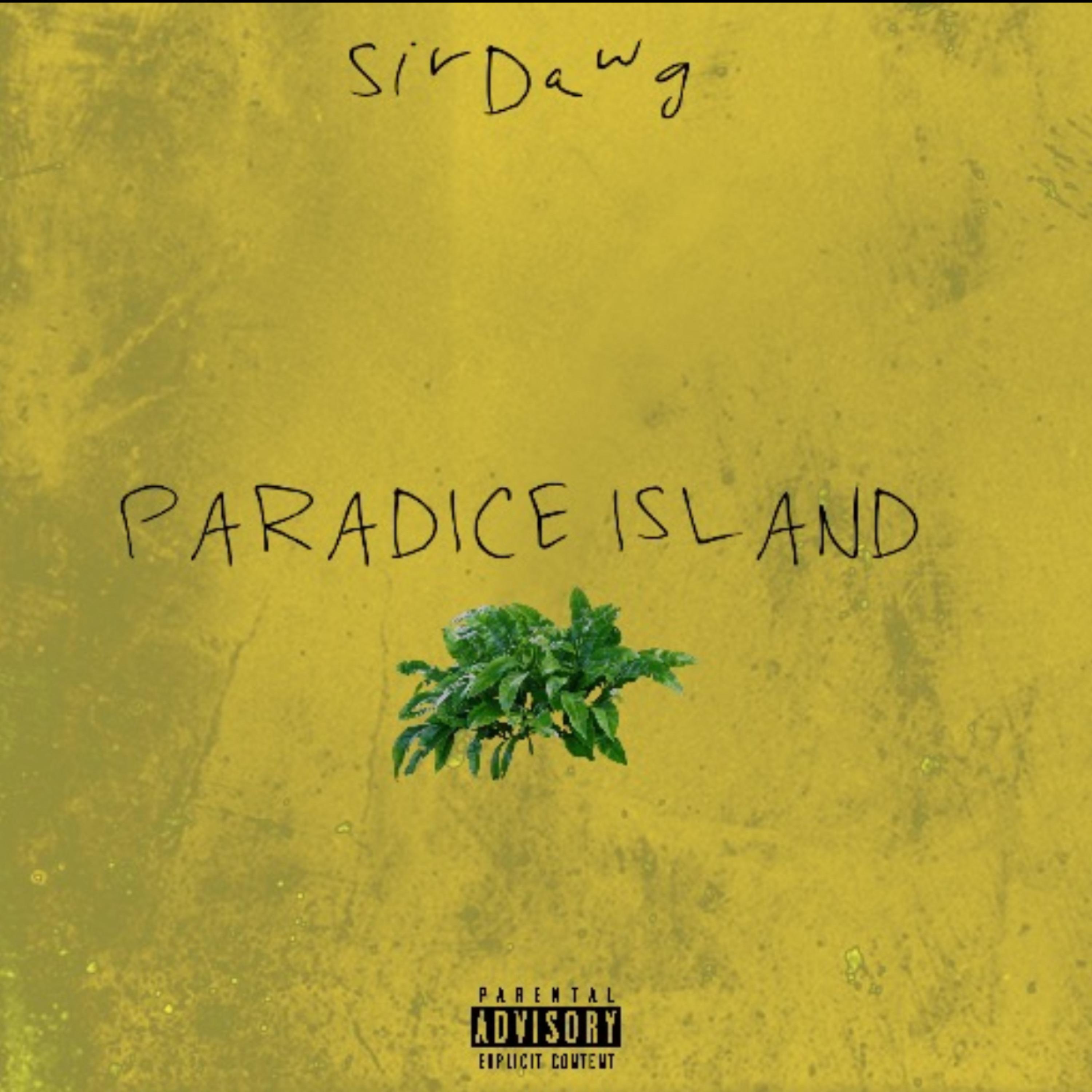 Paradise Island artwork