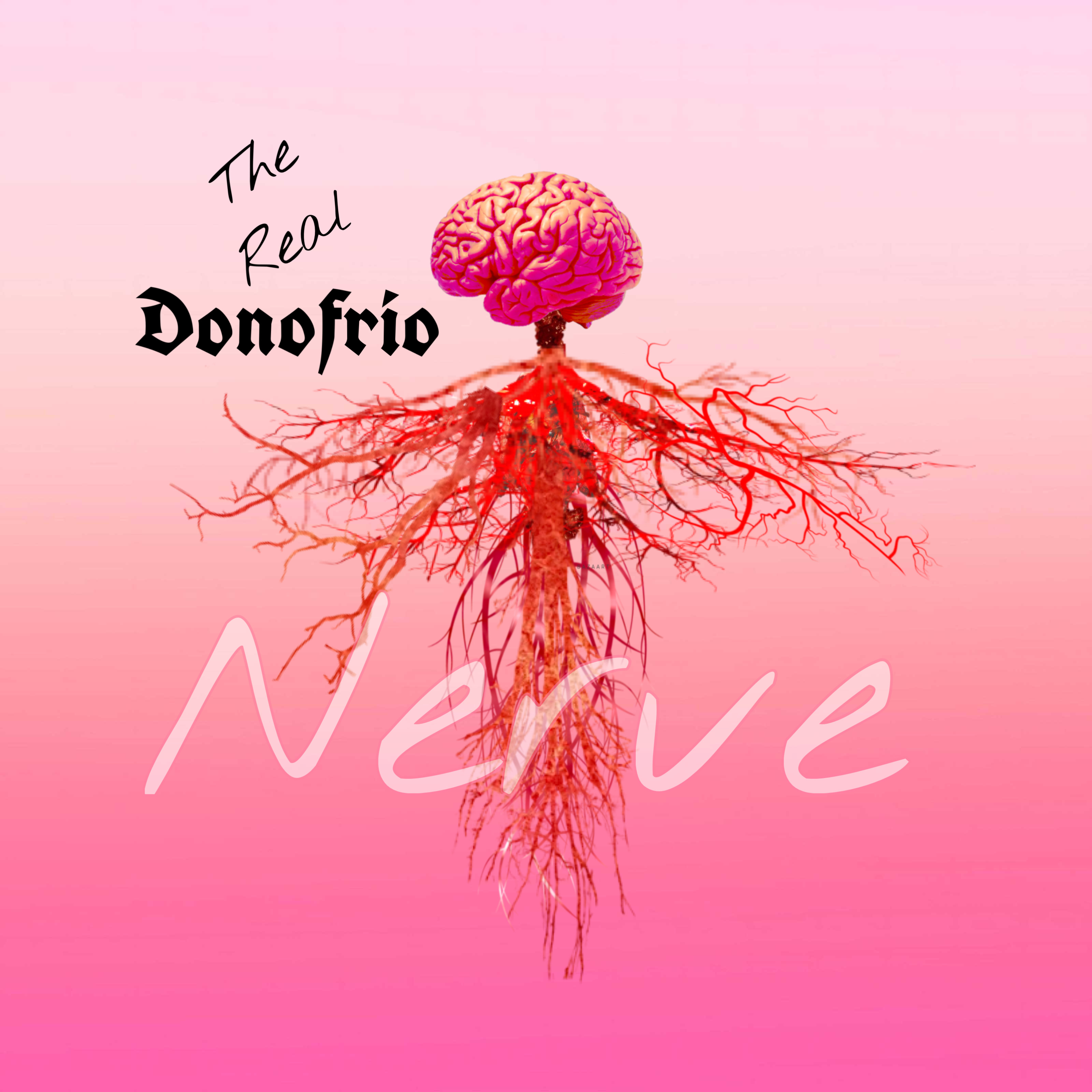 Nerve by The Real Donofrio cover art