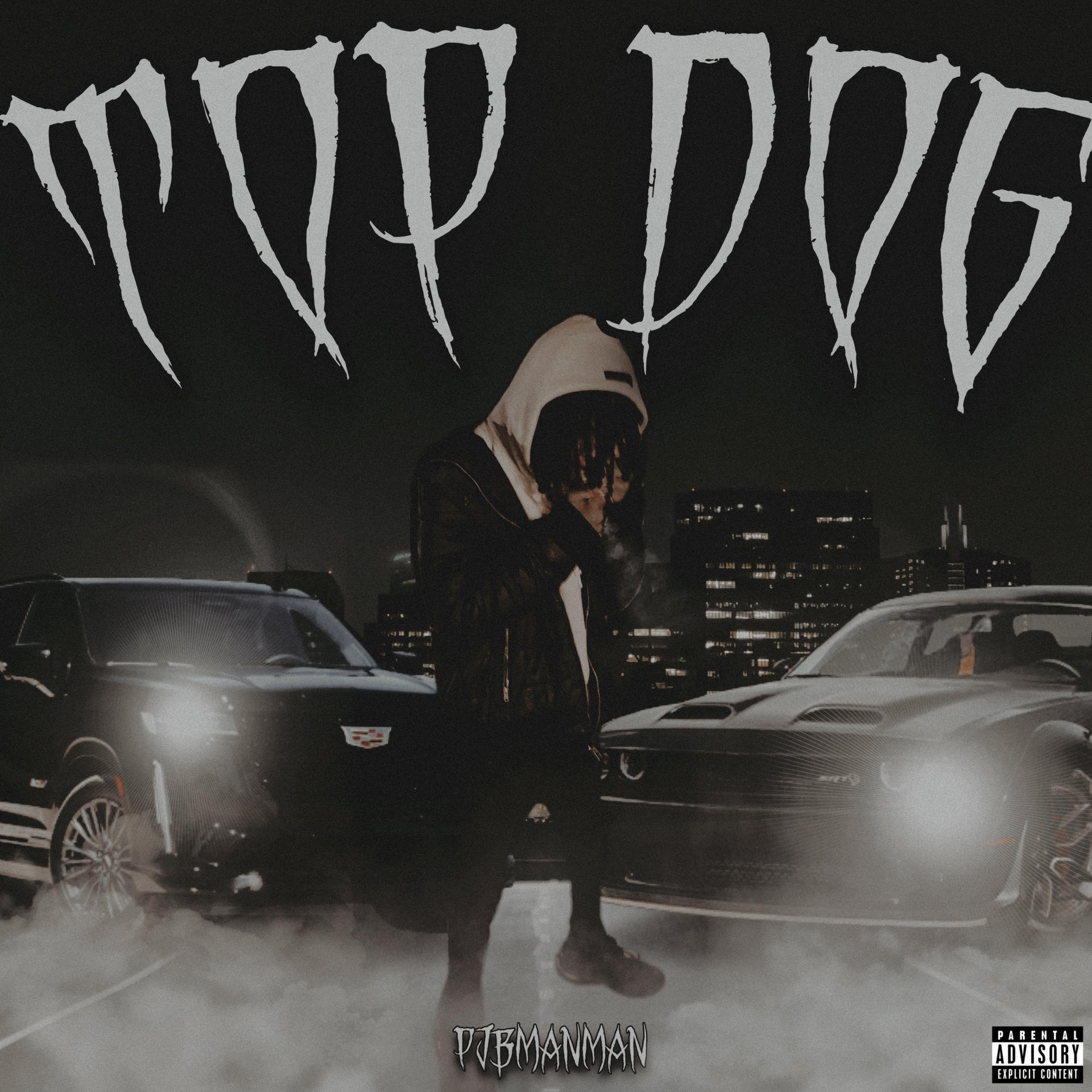 TOP DOG artwork