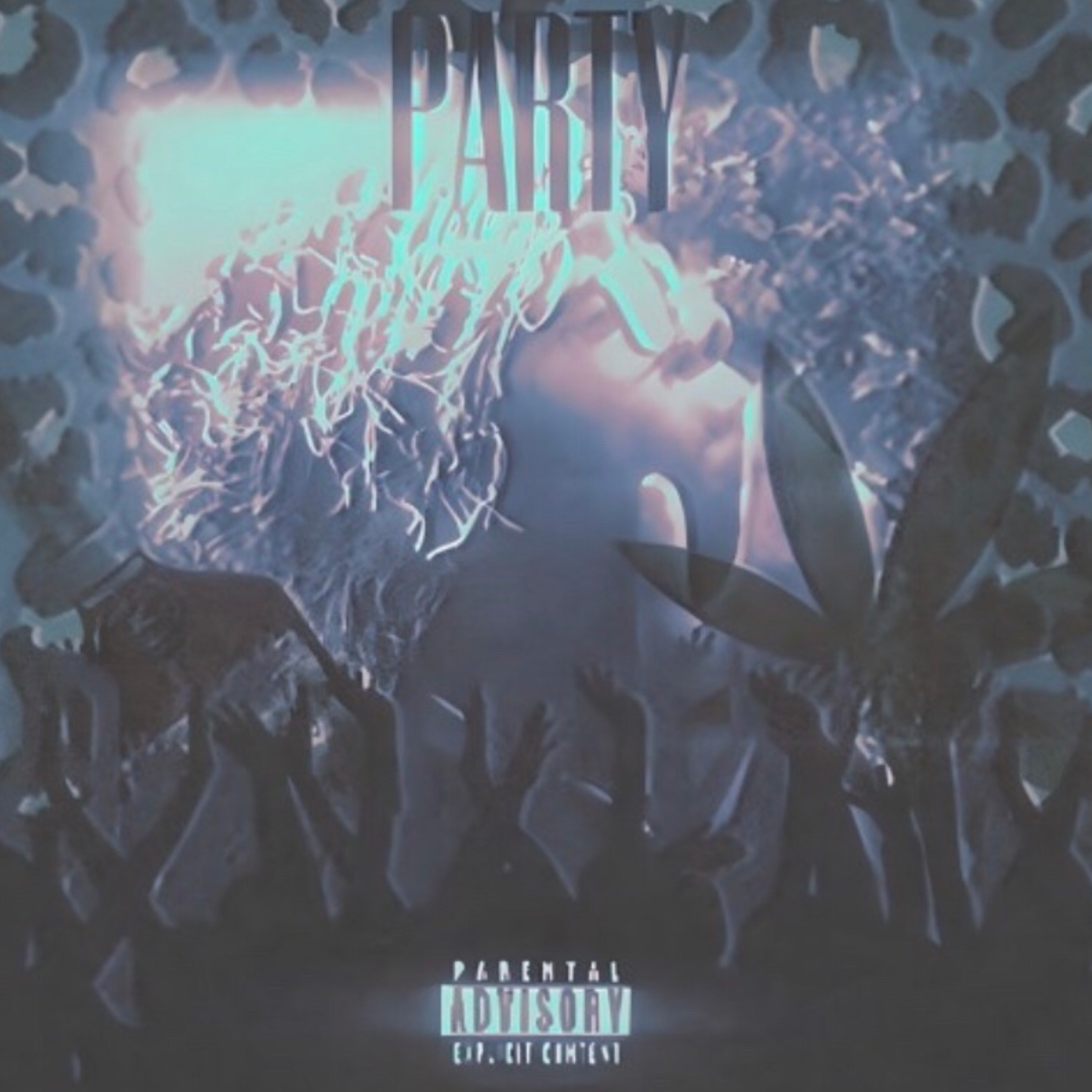 party artwork