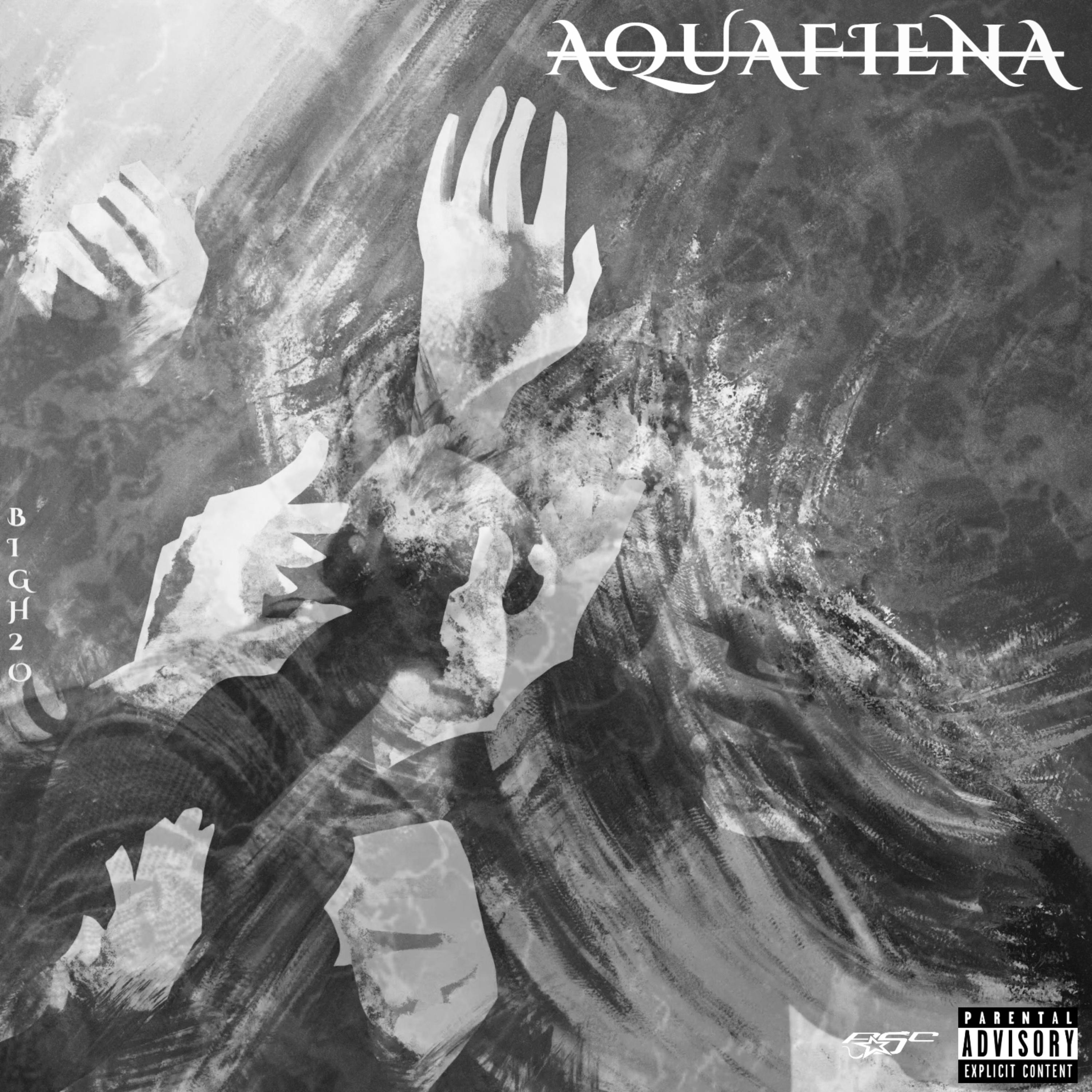 aquafiena [popstar edition] artwork