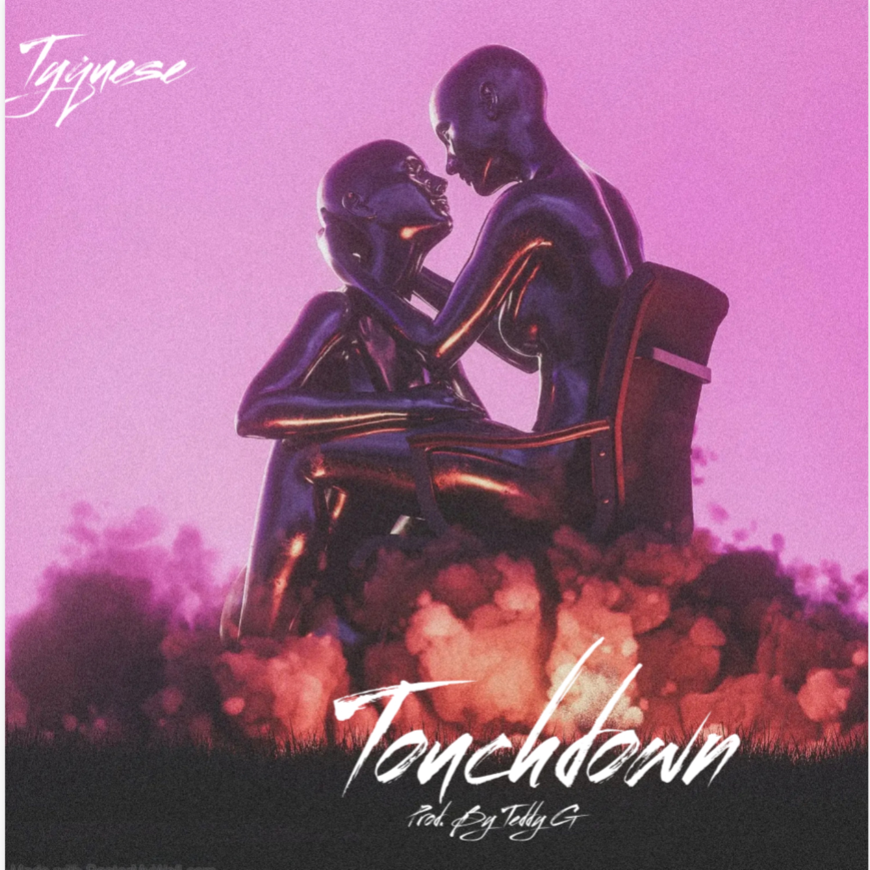 Touchdown artwork