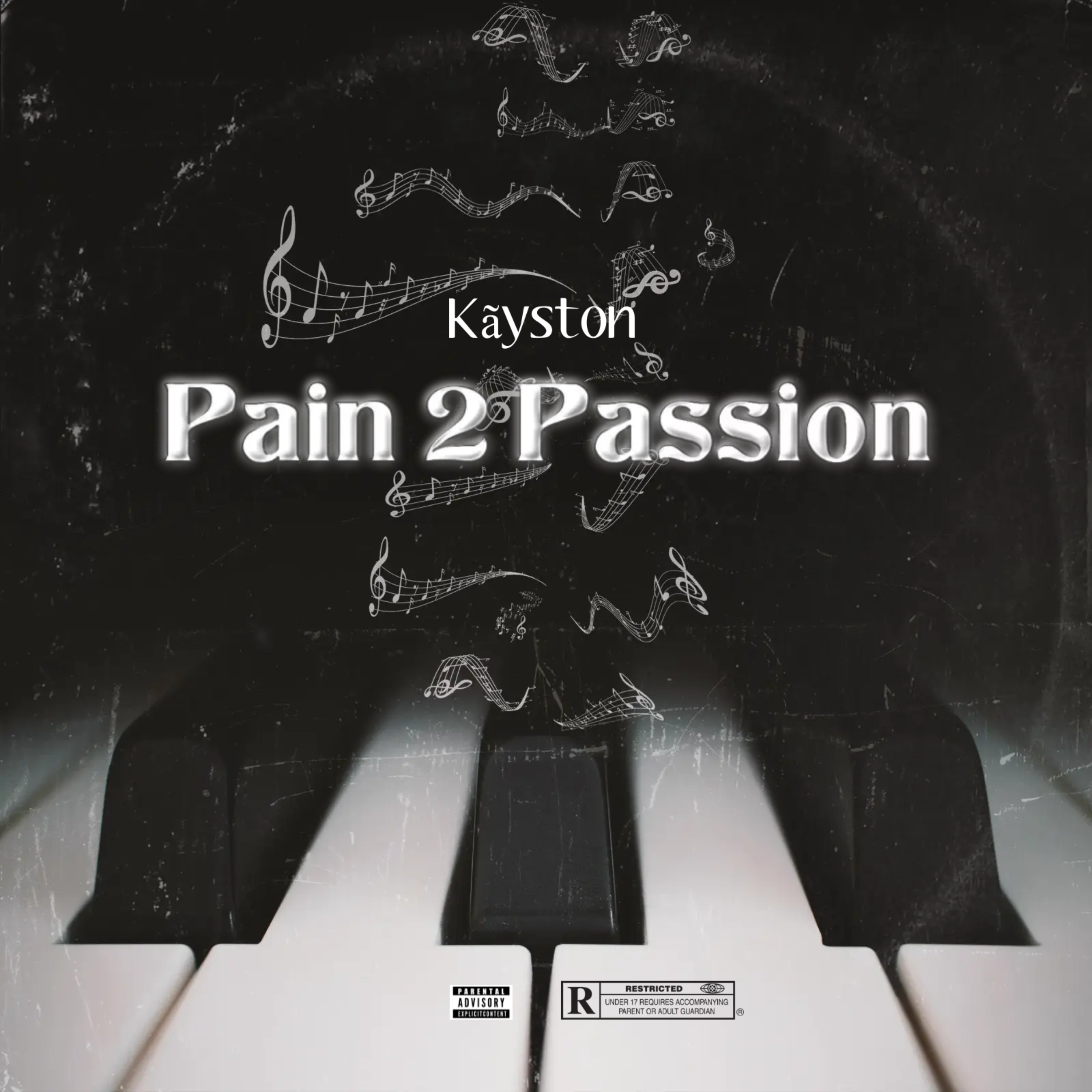 Pain 2 Passion artwork