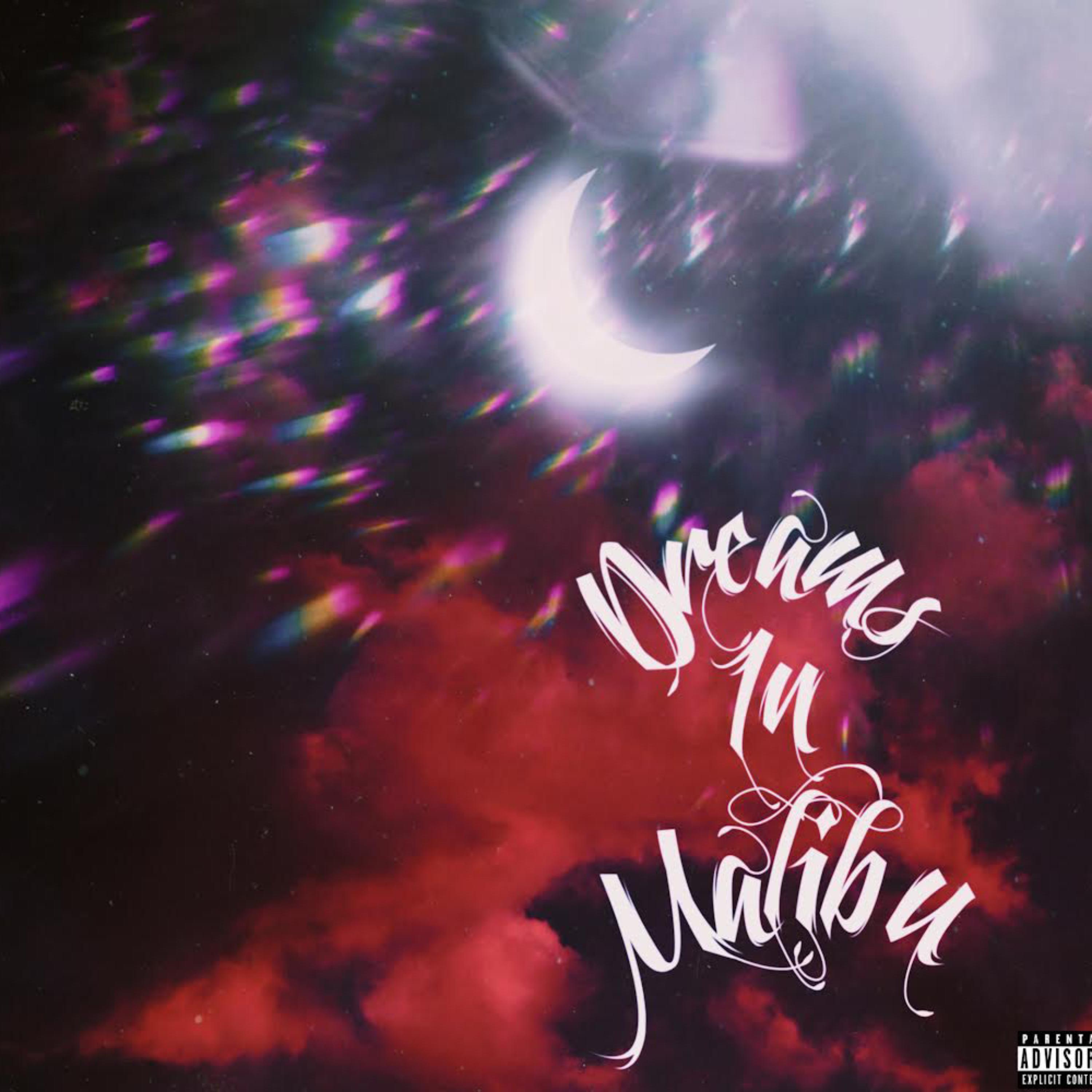 DREAMS IN MALIBU artwork