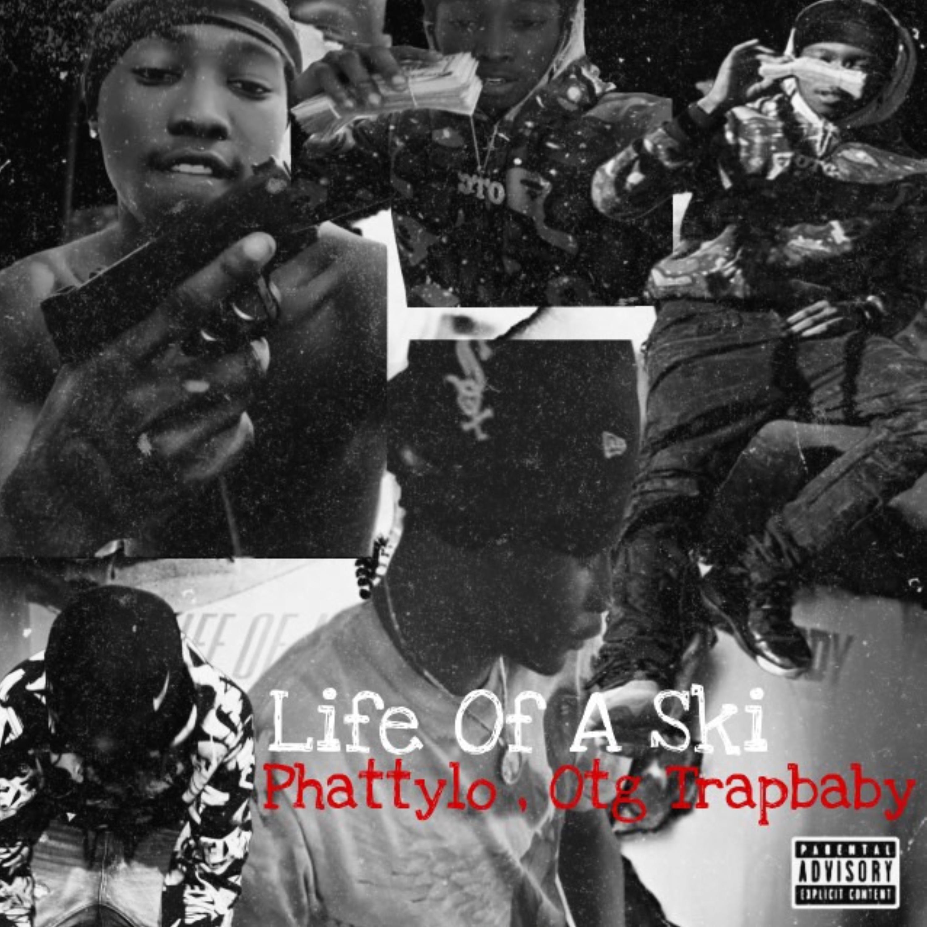 Life Of A Ski artwork
