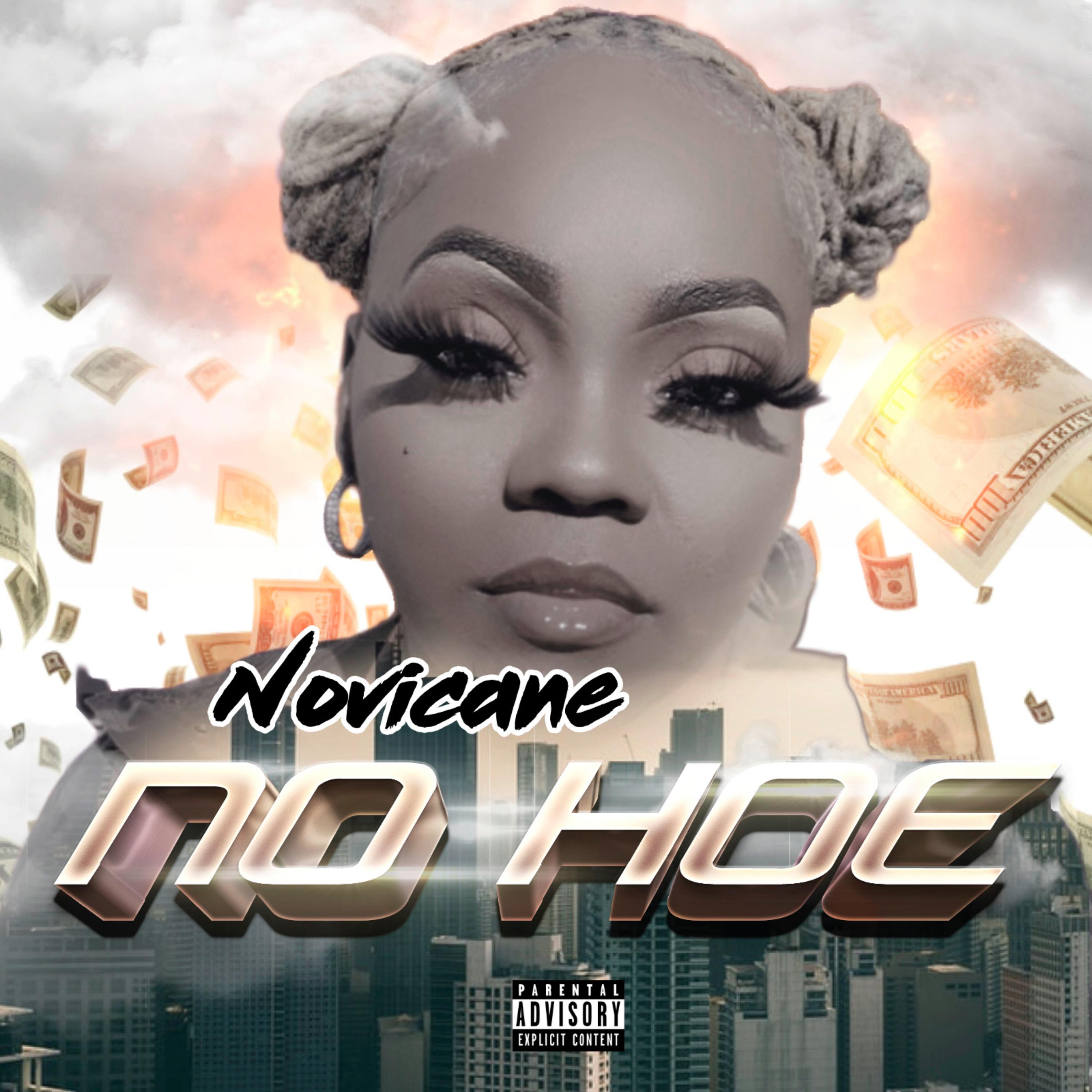 NO HOE artwork