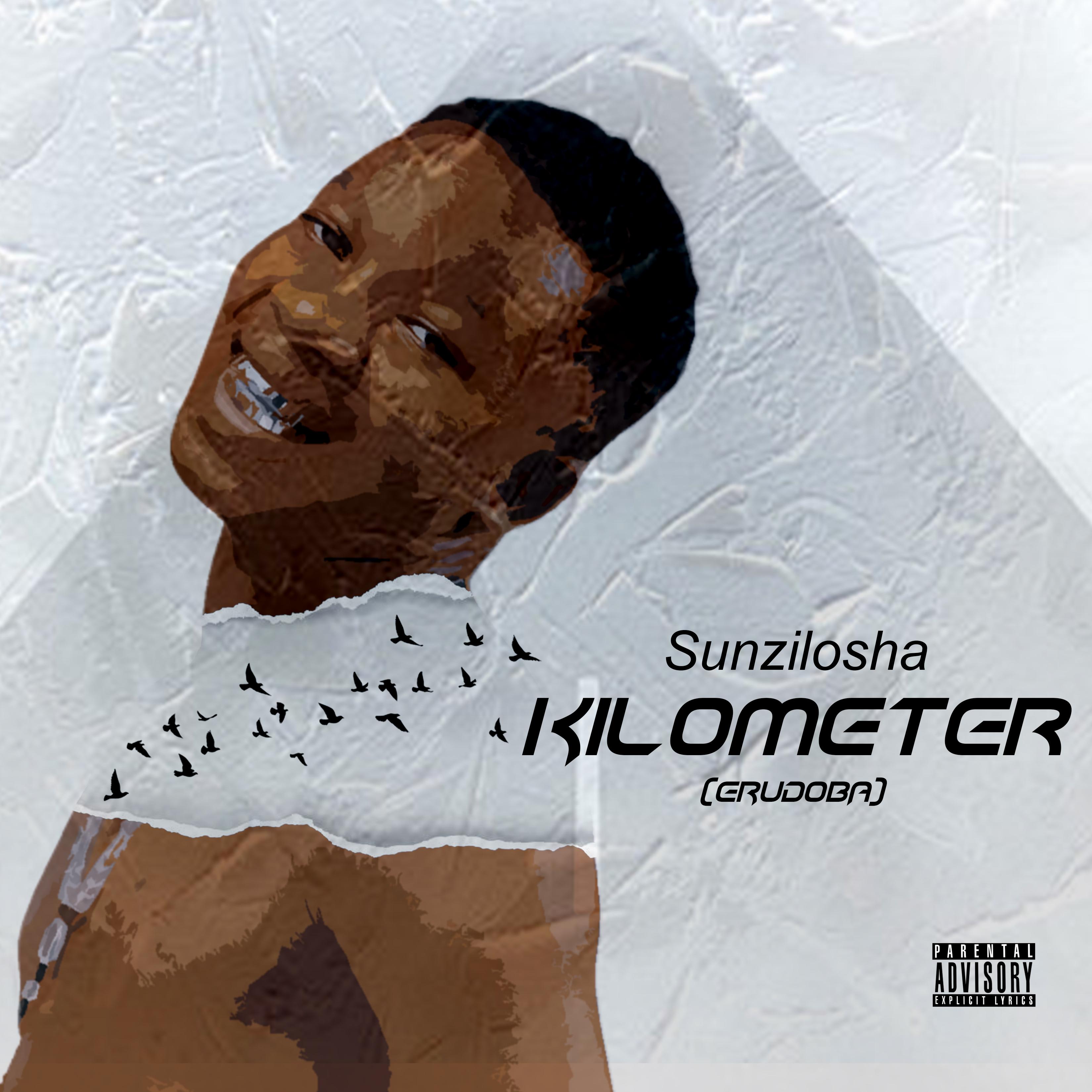 Kilometer artwork