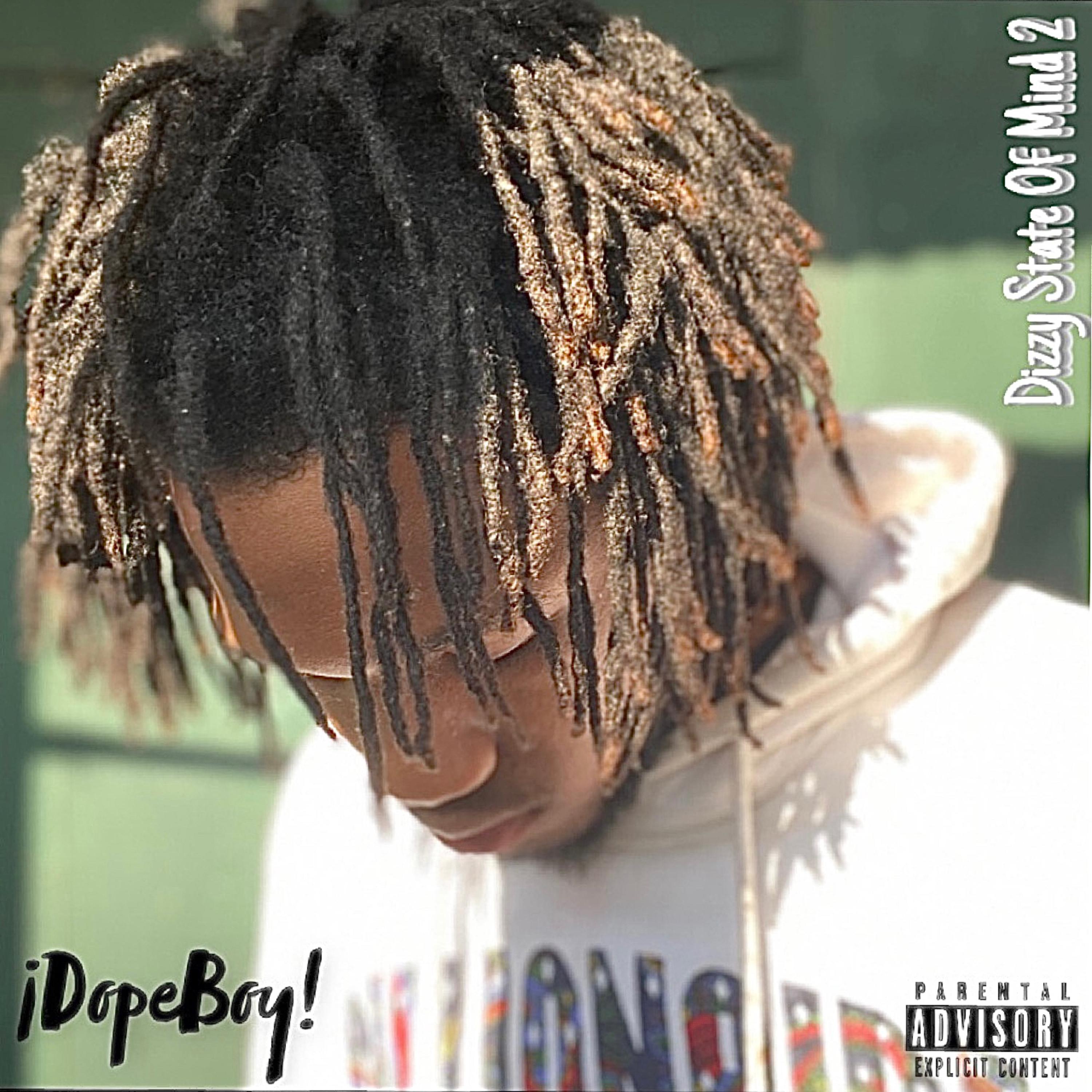 Dizzy State Of Mind 2 artwork