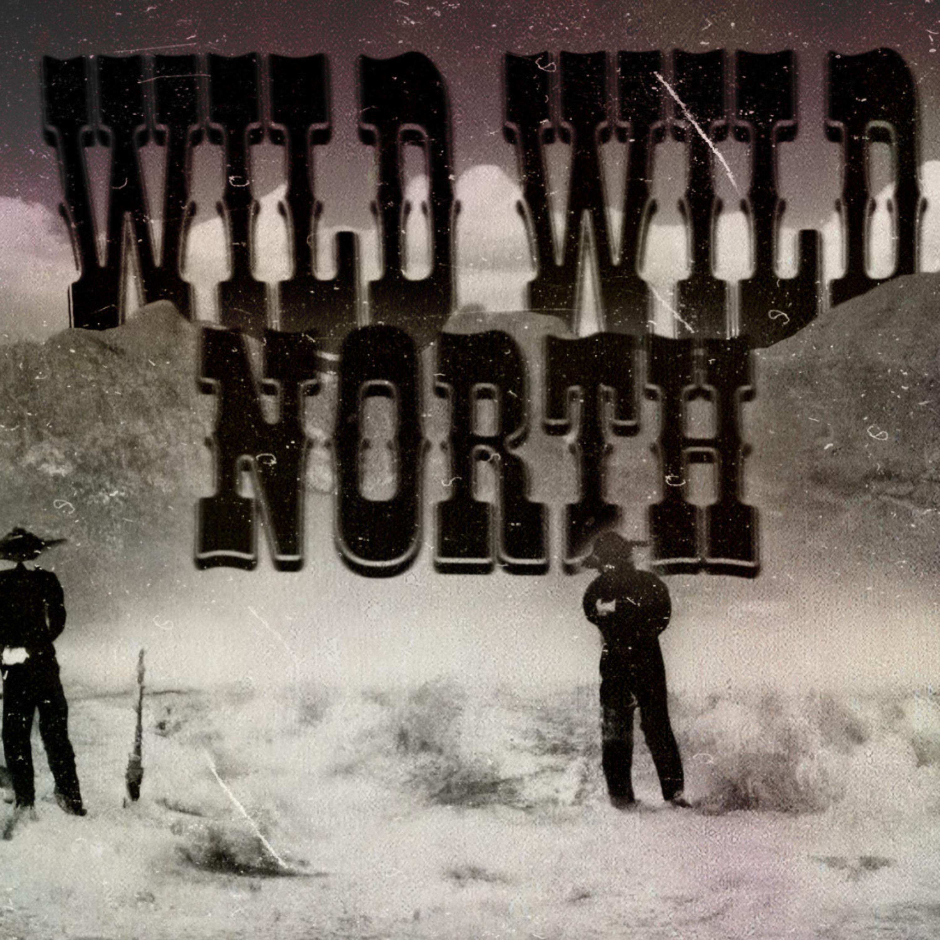 wild wild north artwork