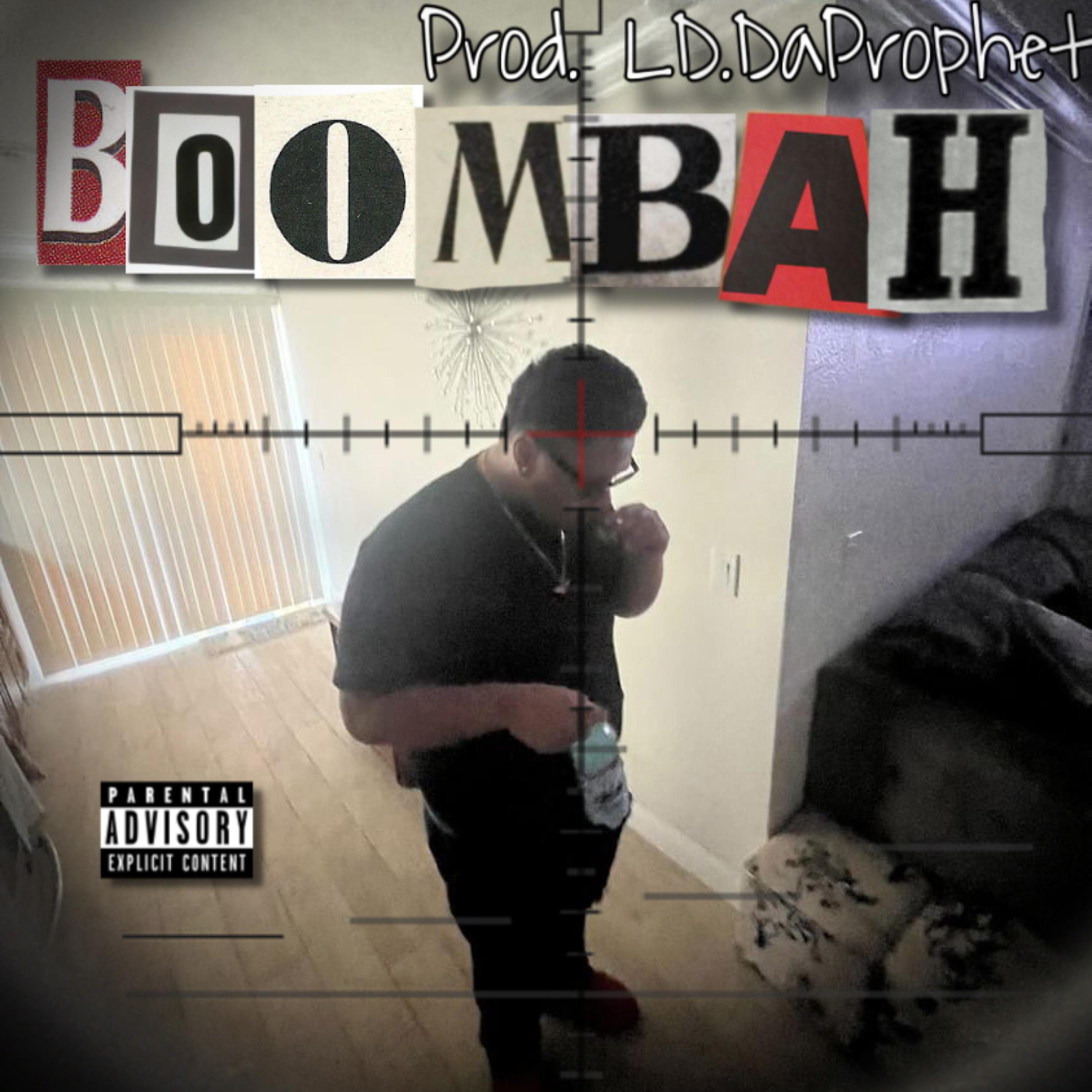 Mr. Ball 4 Da Chincs artwork