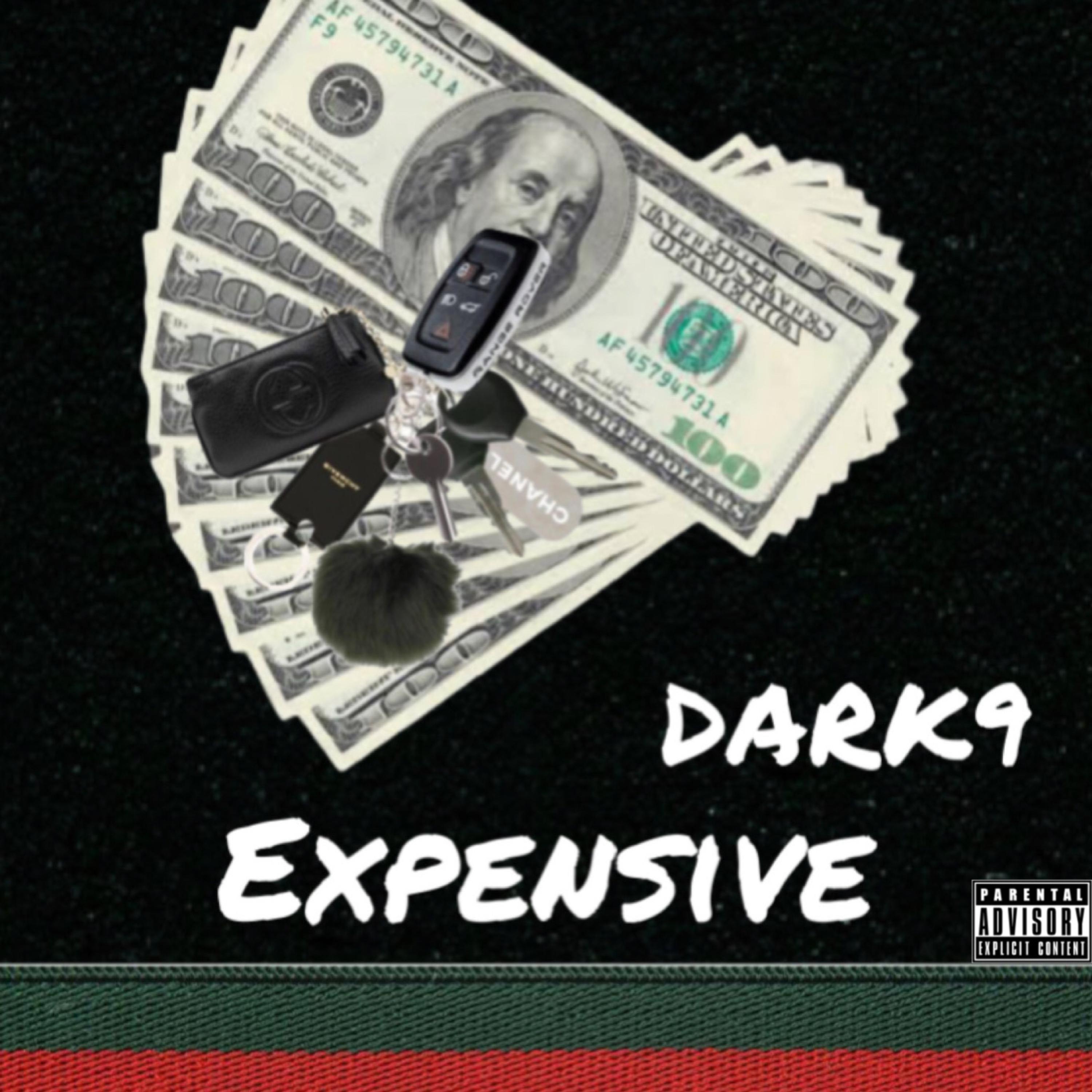 Expensive by Dark9 cover art