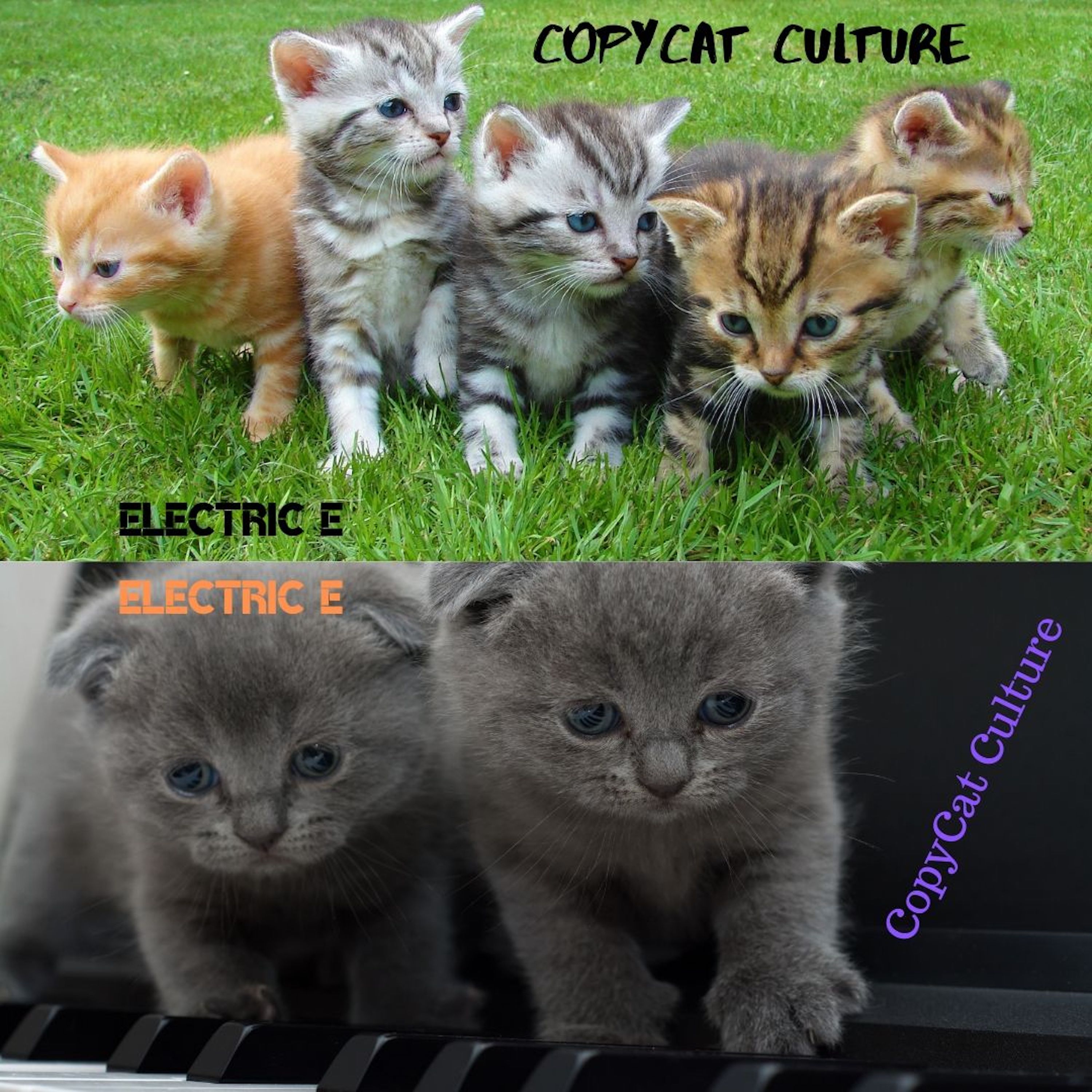 CopyCat Culture artwork