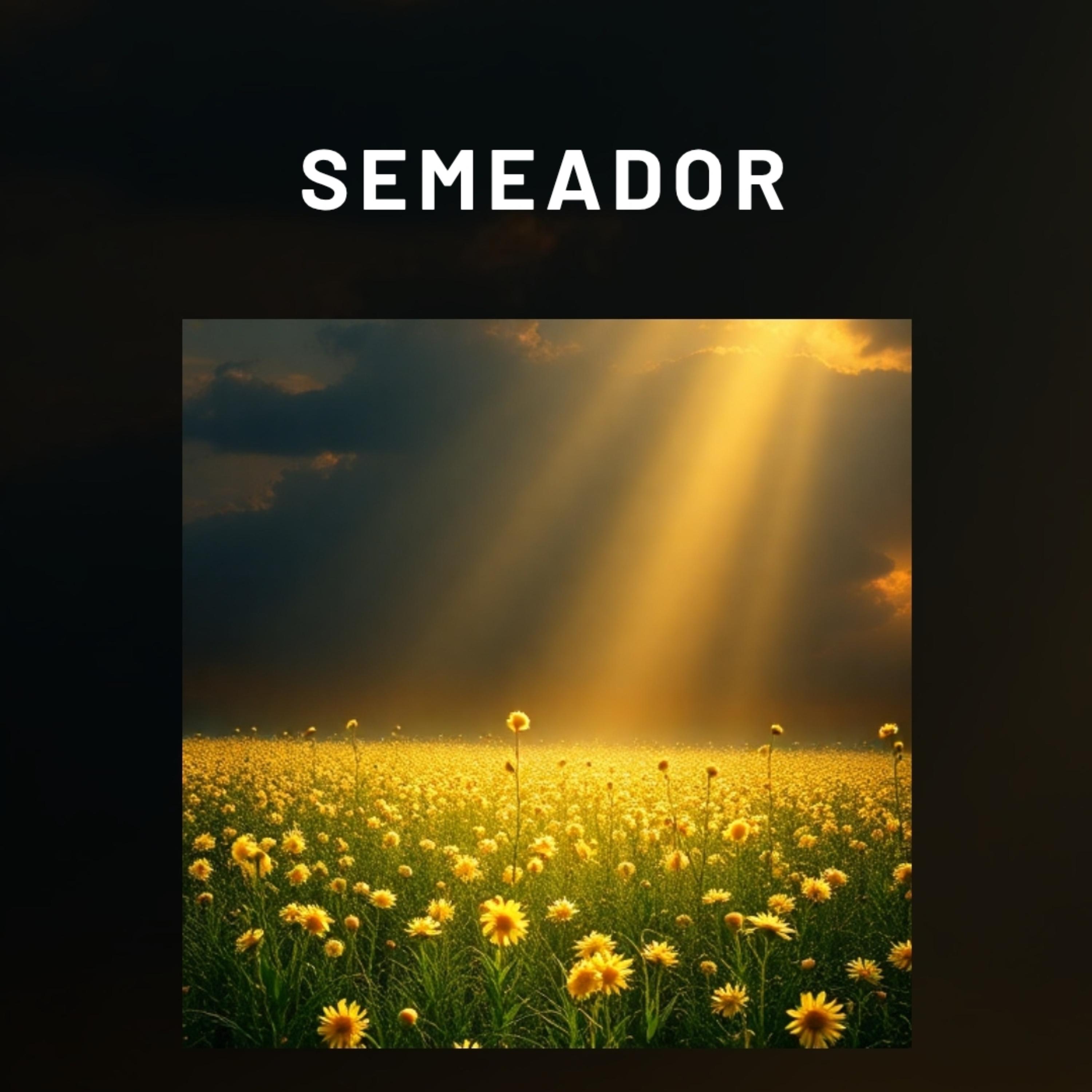 Semeador artwork