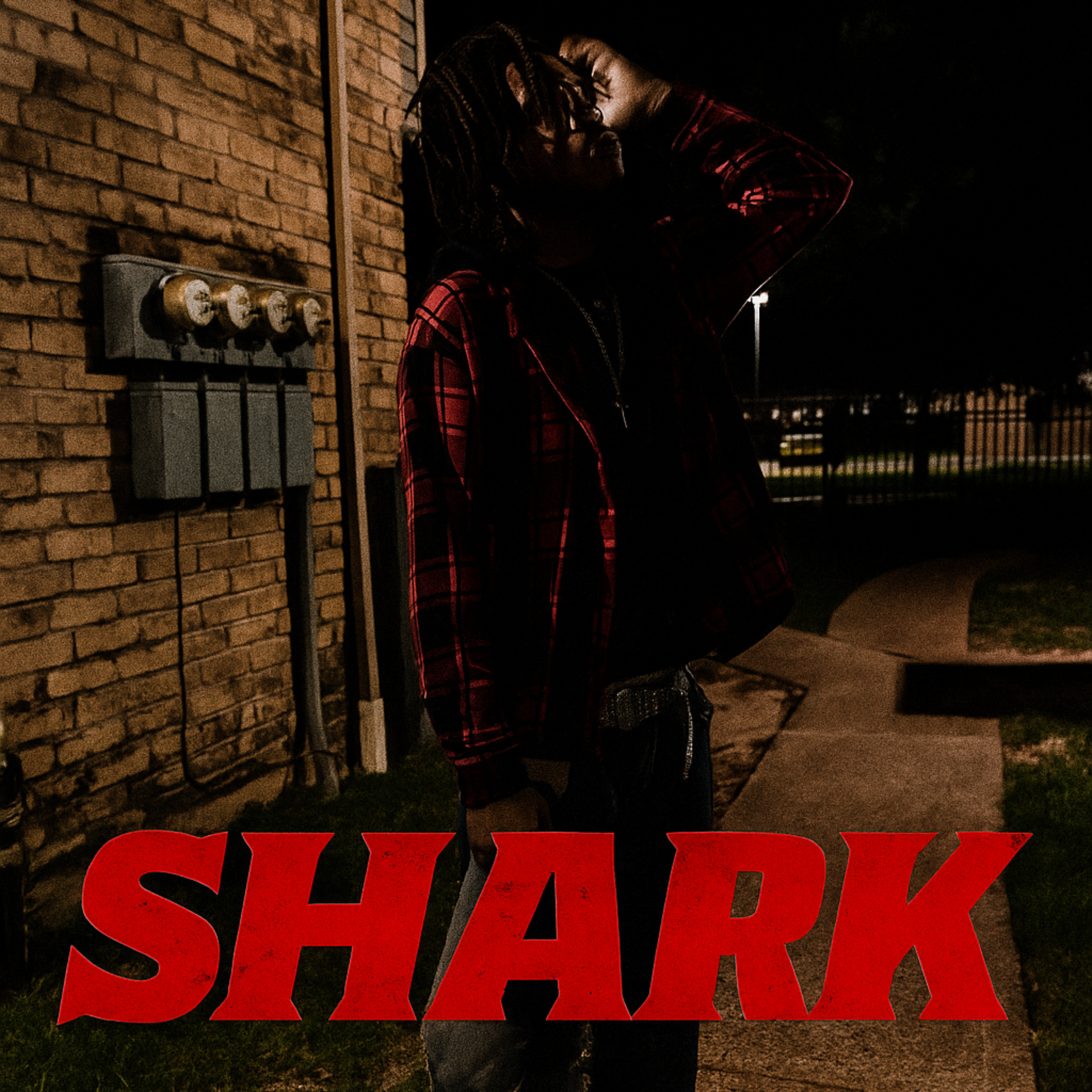 Shark artwork