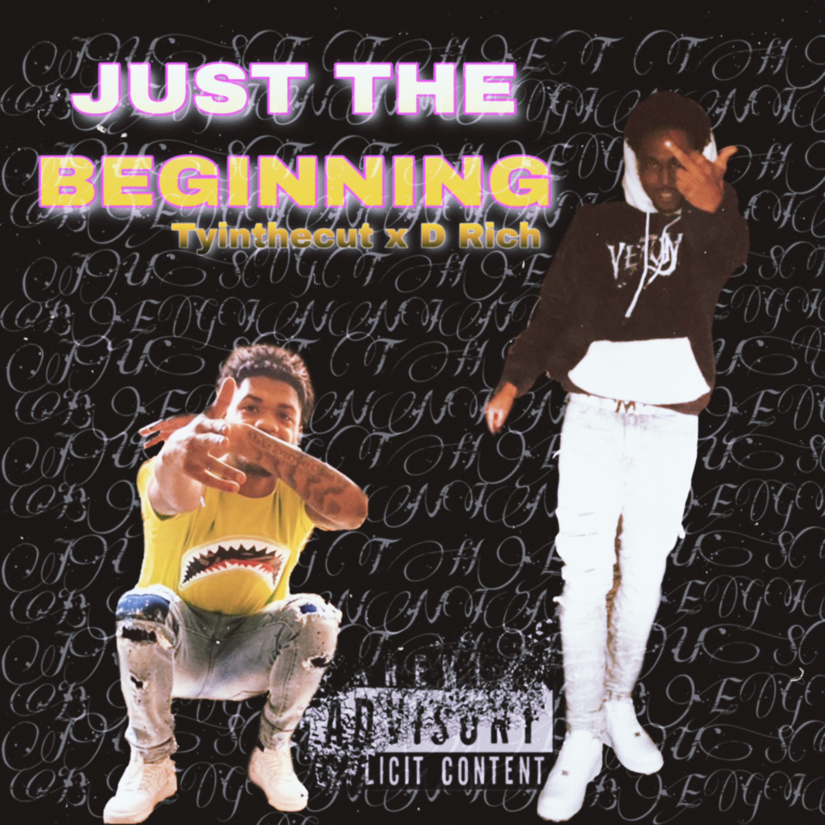 Just The Beginning artwork