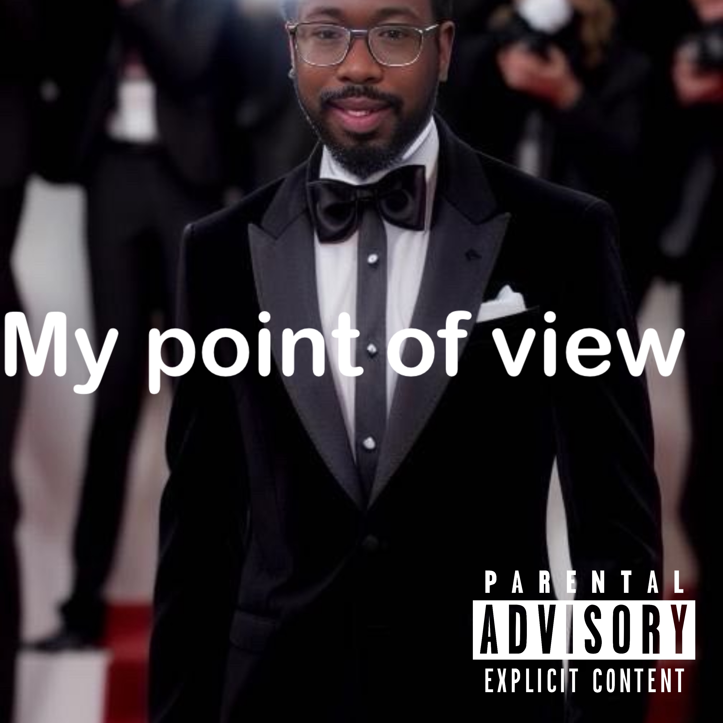 My Point Of View artwork