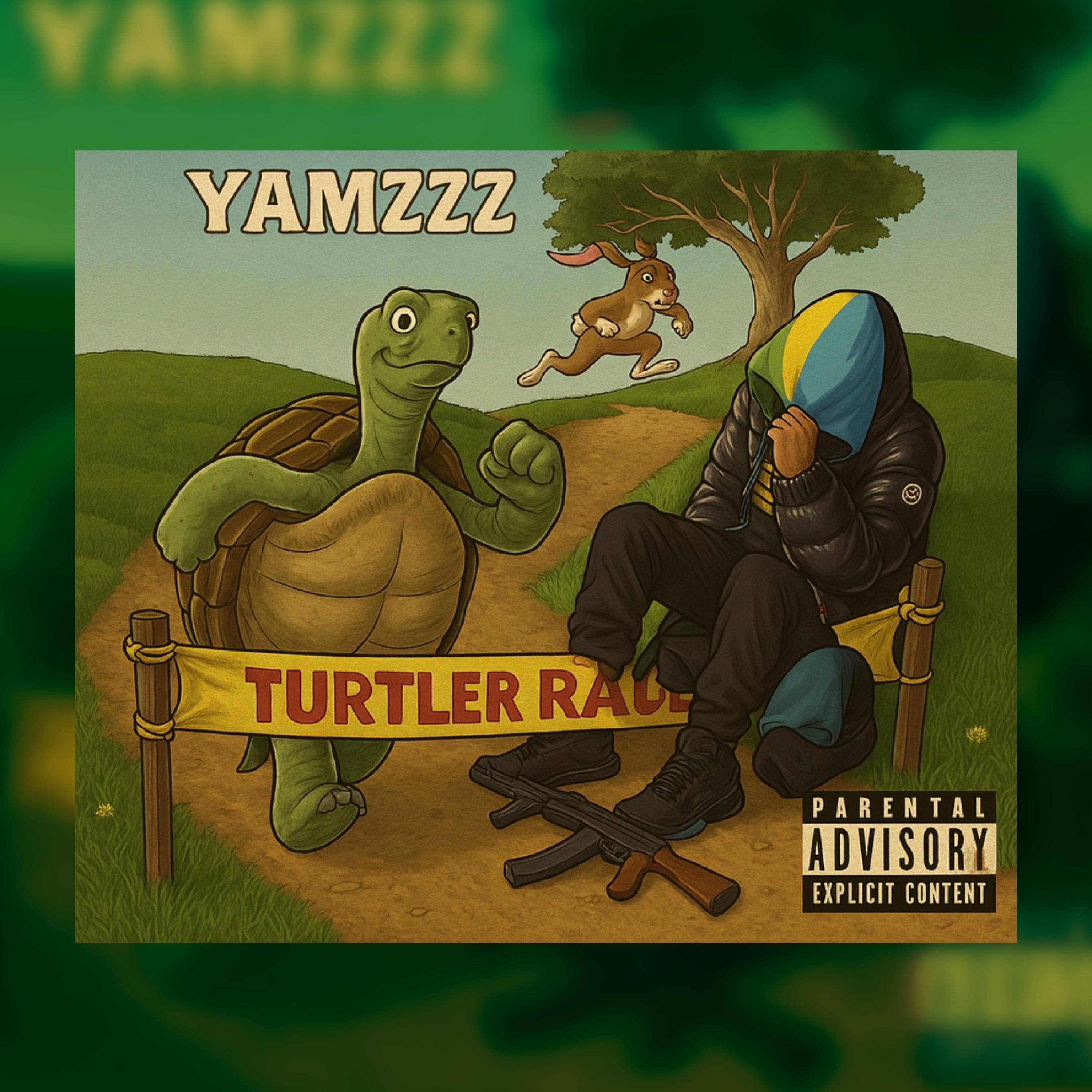 Turtle Race artwork