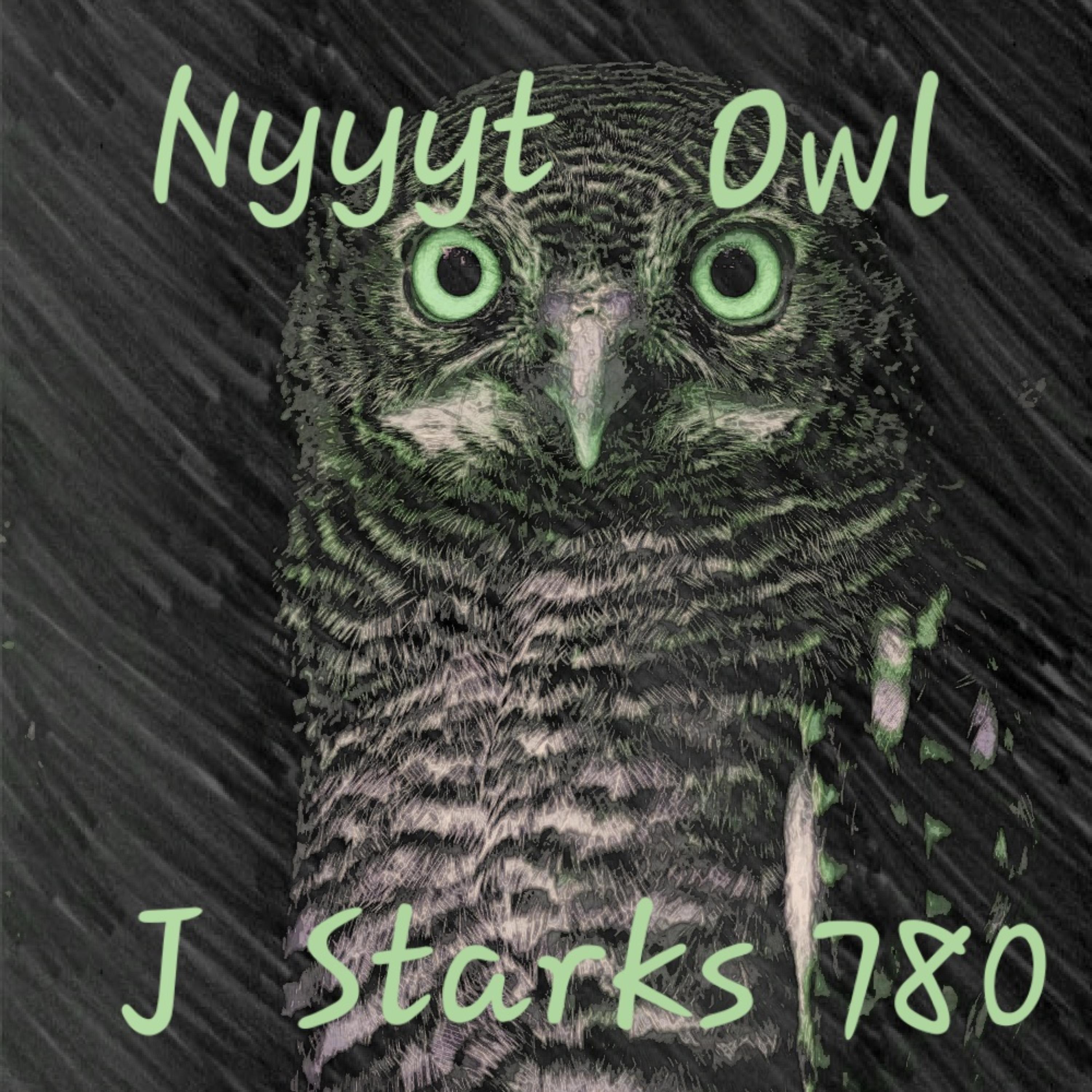 Nyyyt Owl artwork