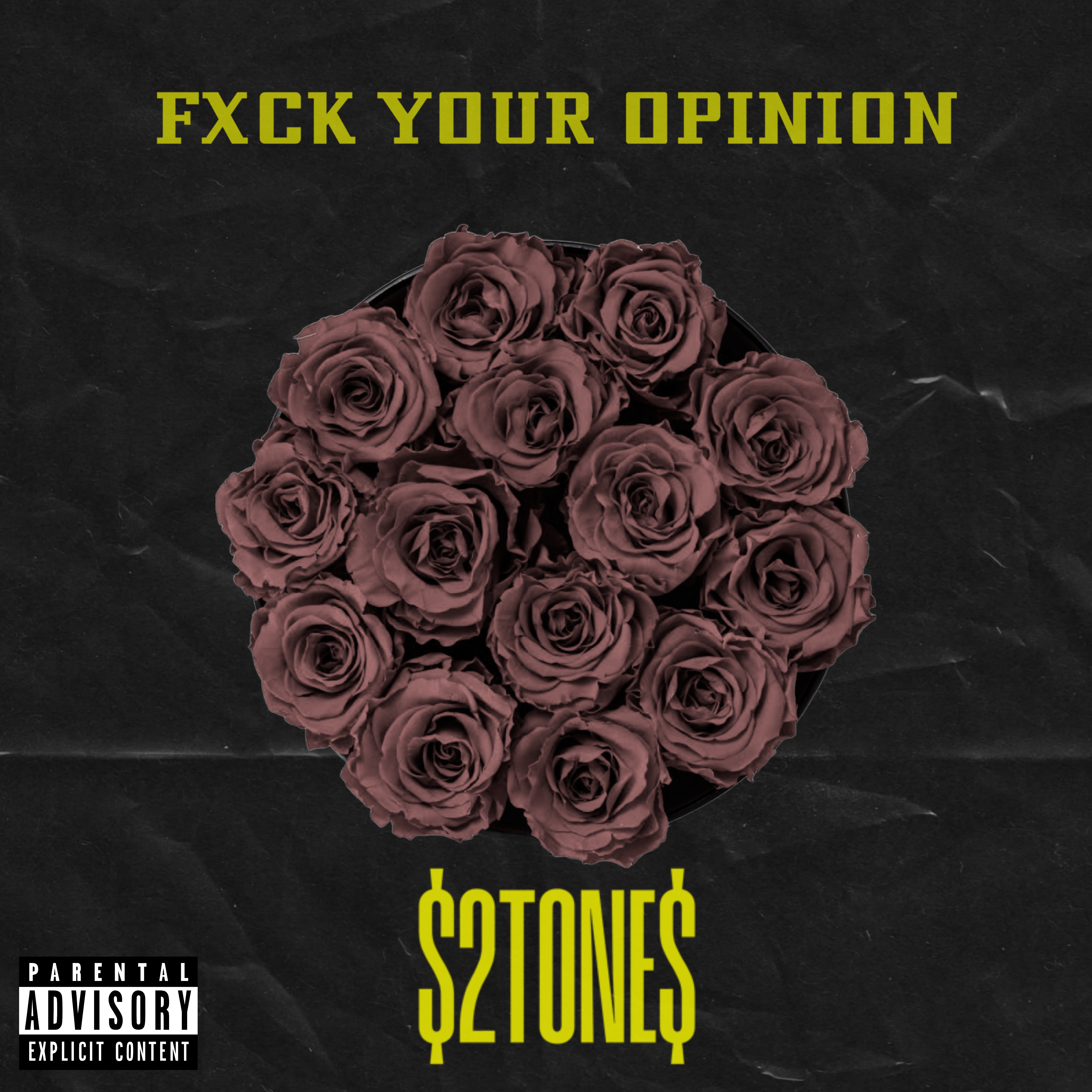 Fxck Your Opinion artwork