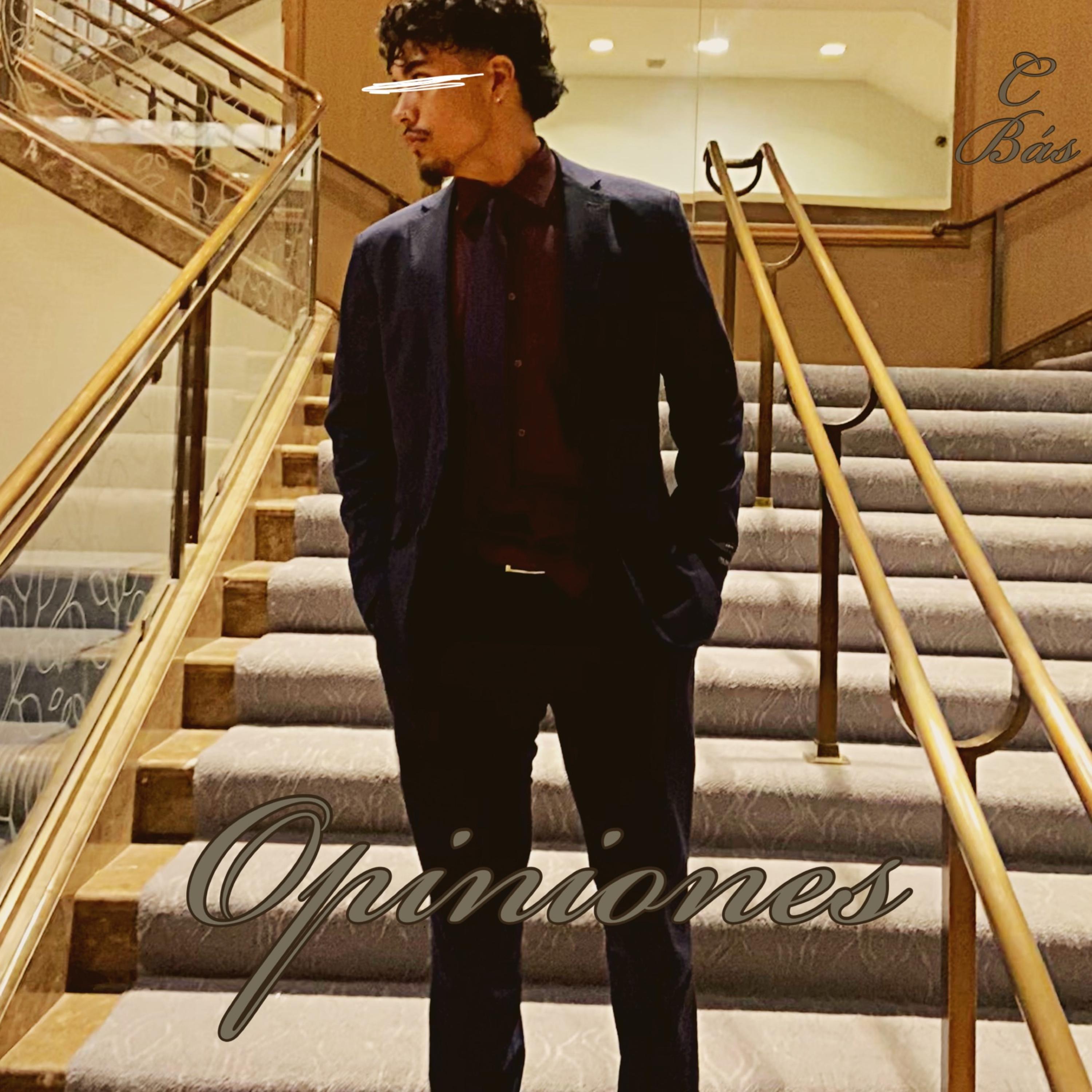 Opiniones artwork