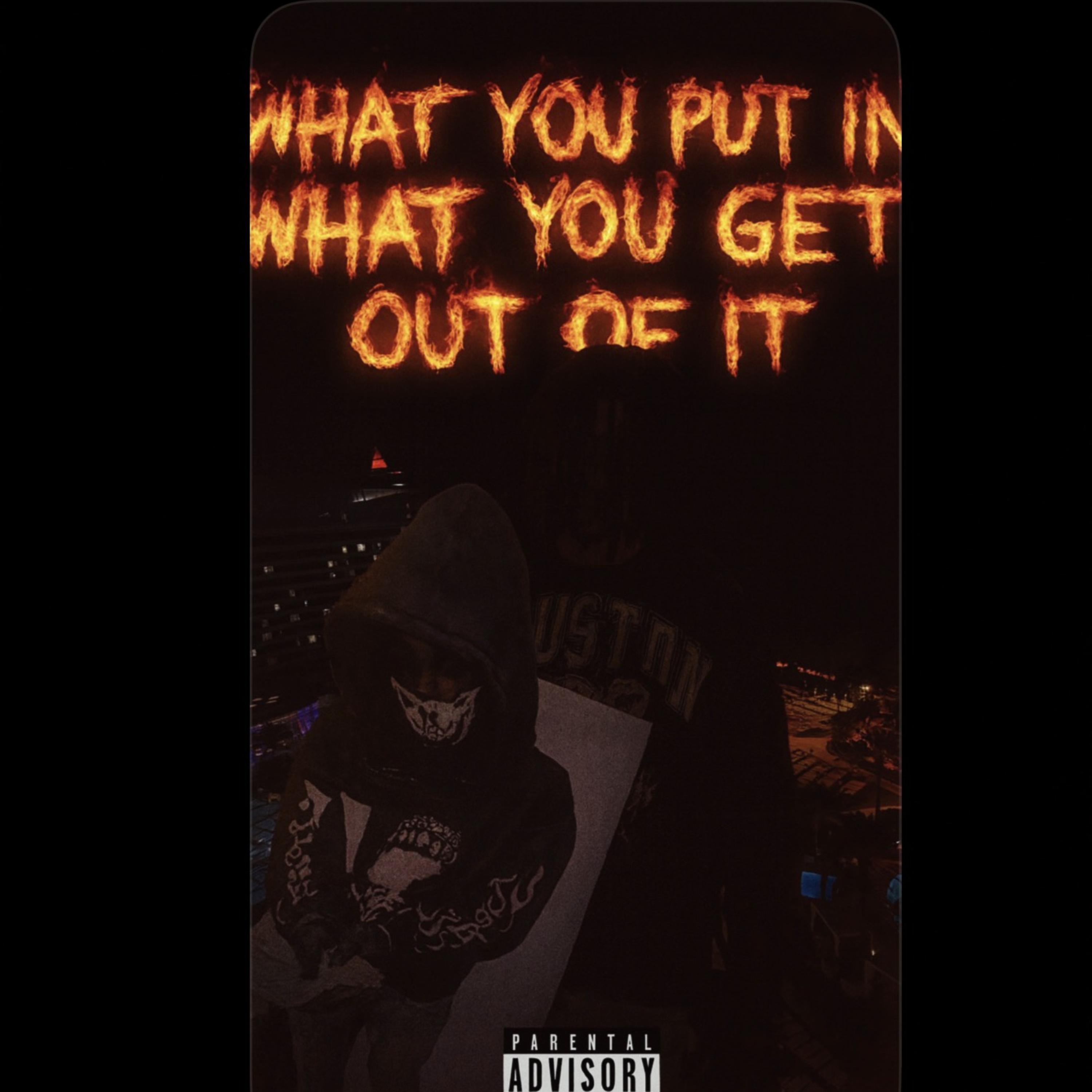 What You Put In What You Get Out artwork