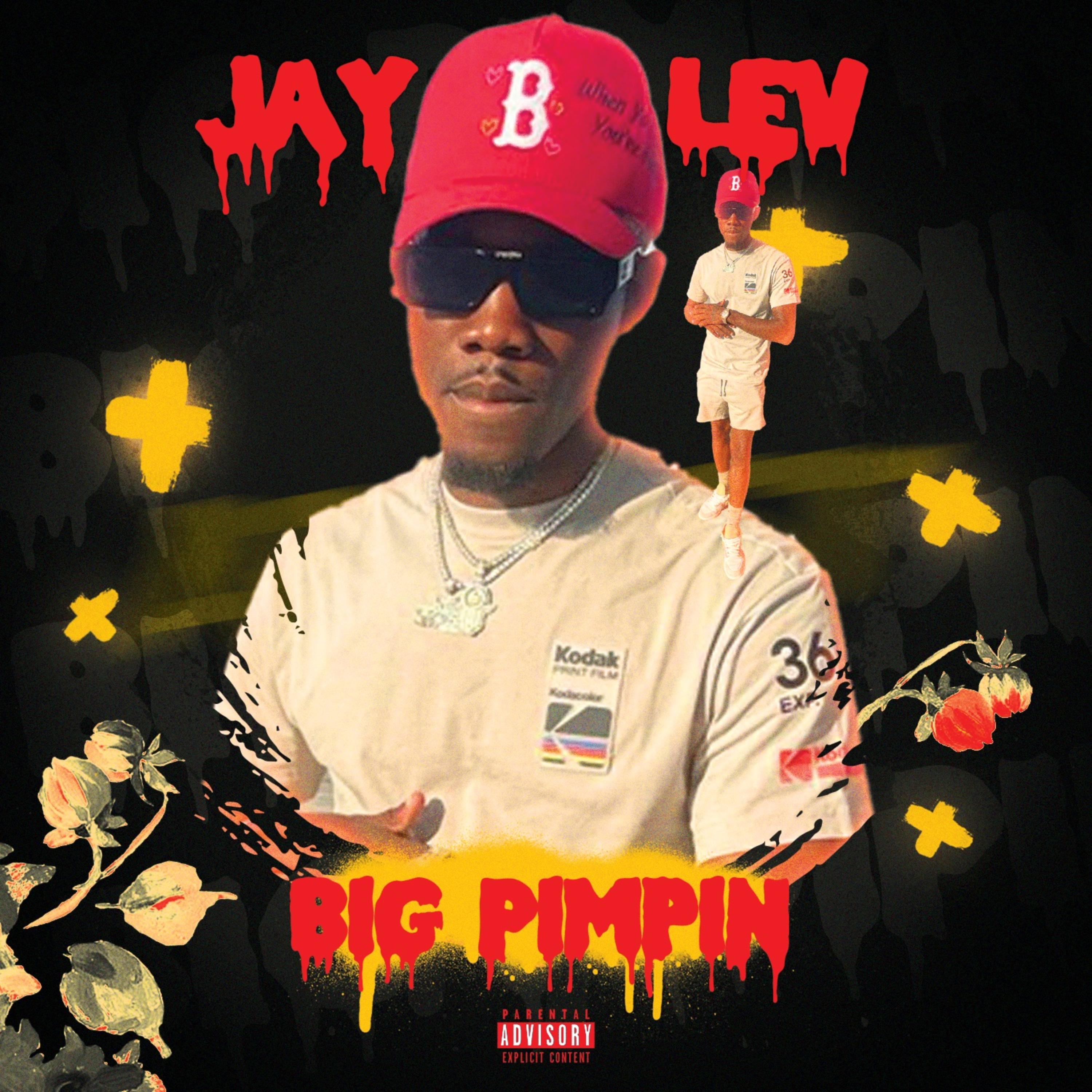 Big Pimpin artwork