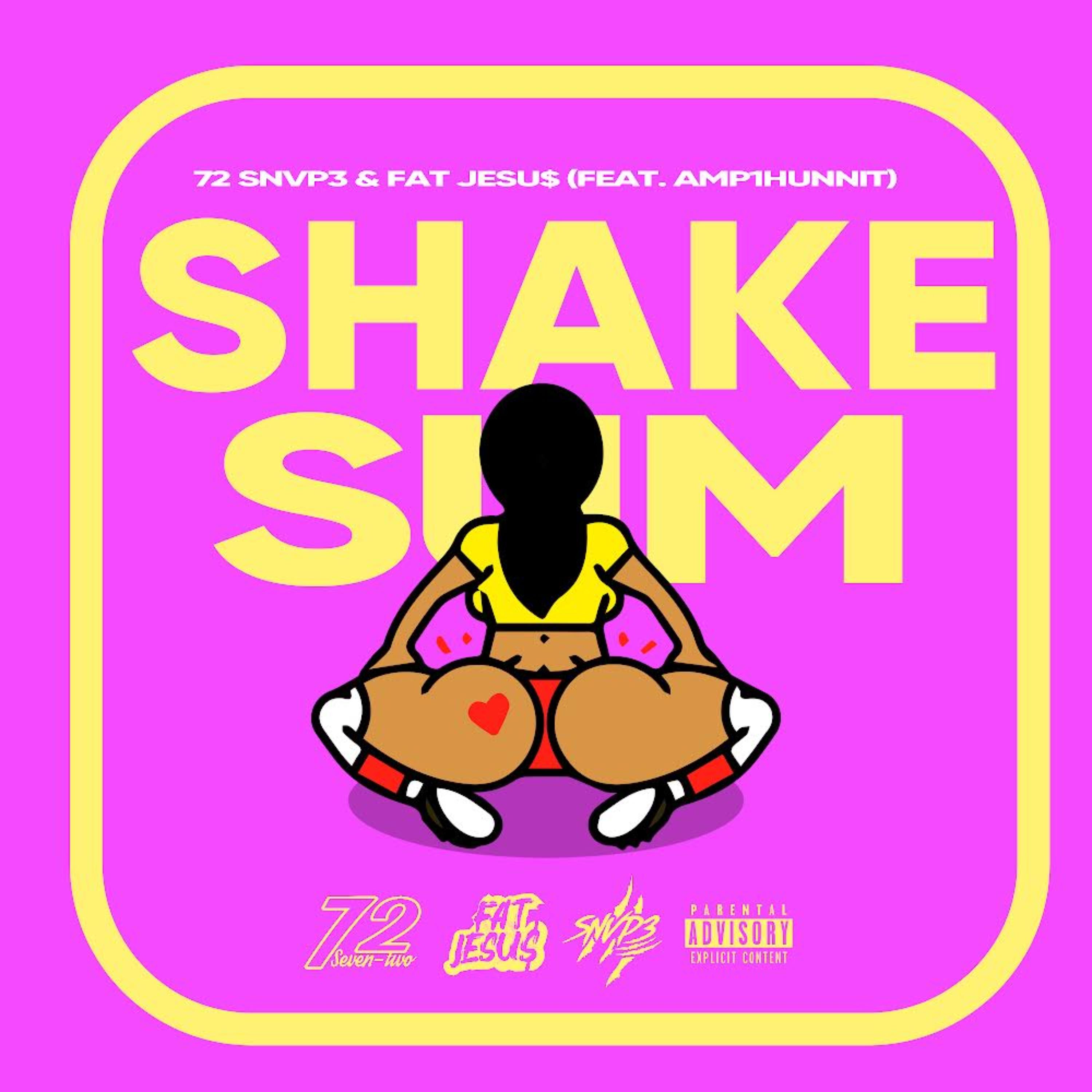 Shake Sum artwork