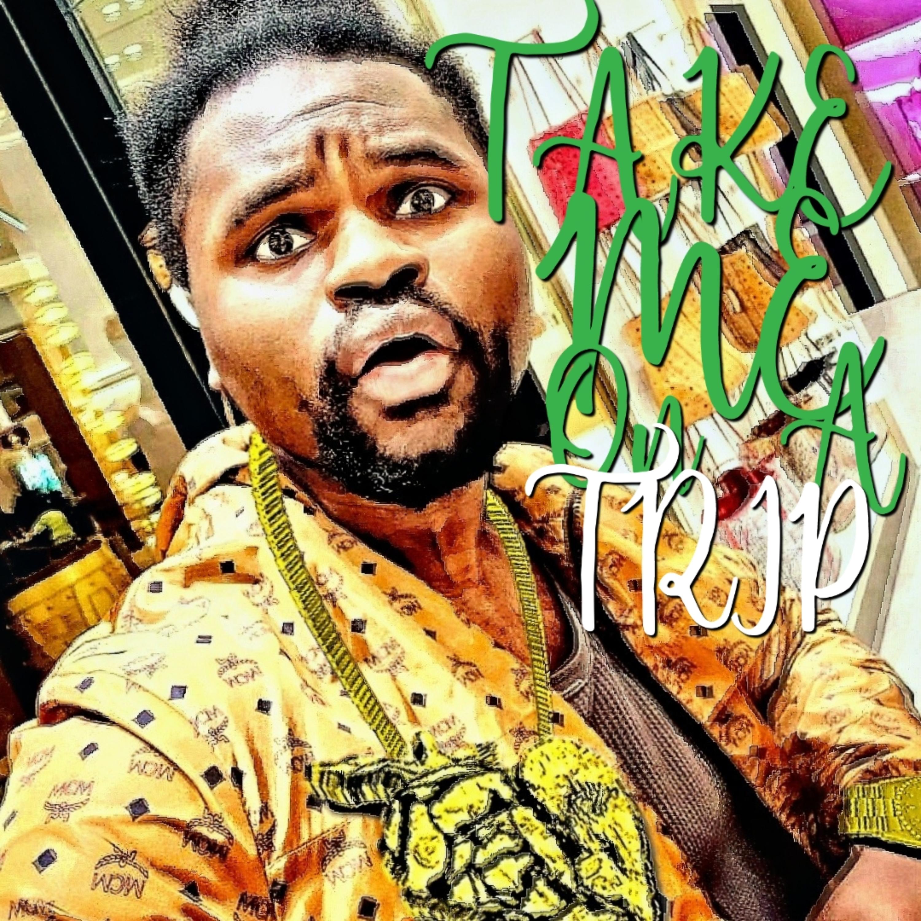 Take Me On A Trip artwork