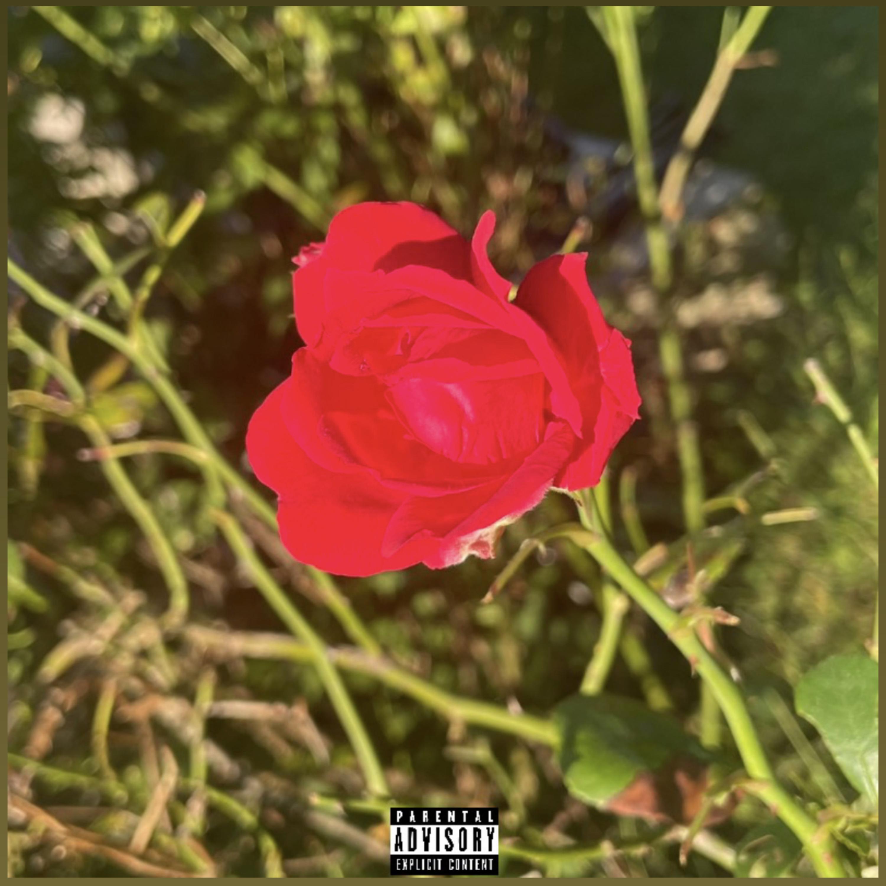Comin Home artwork