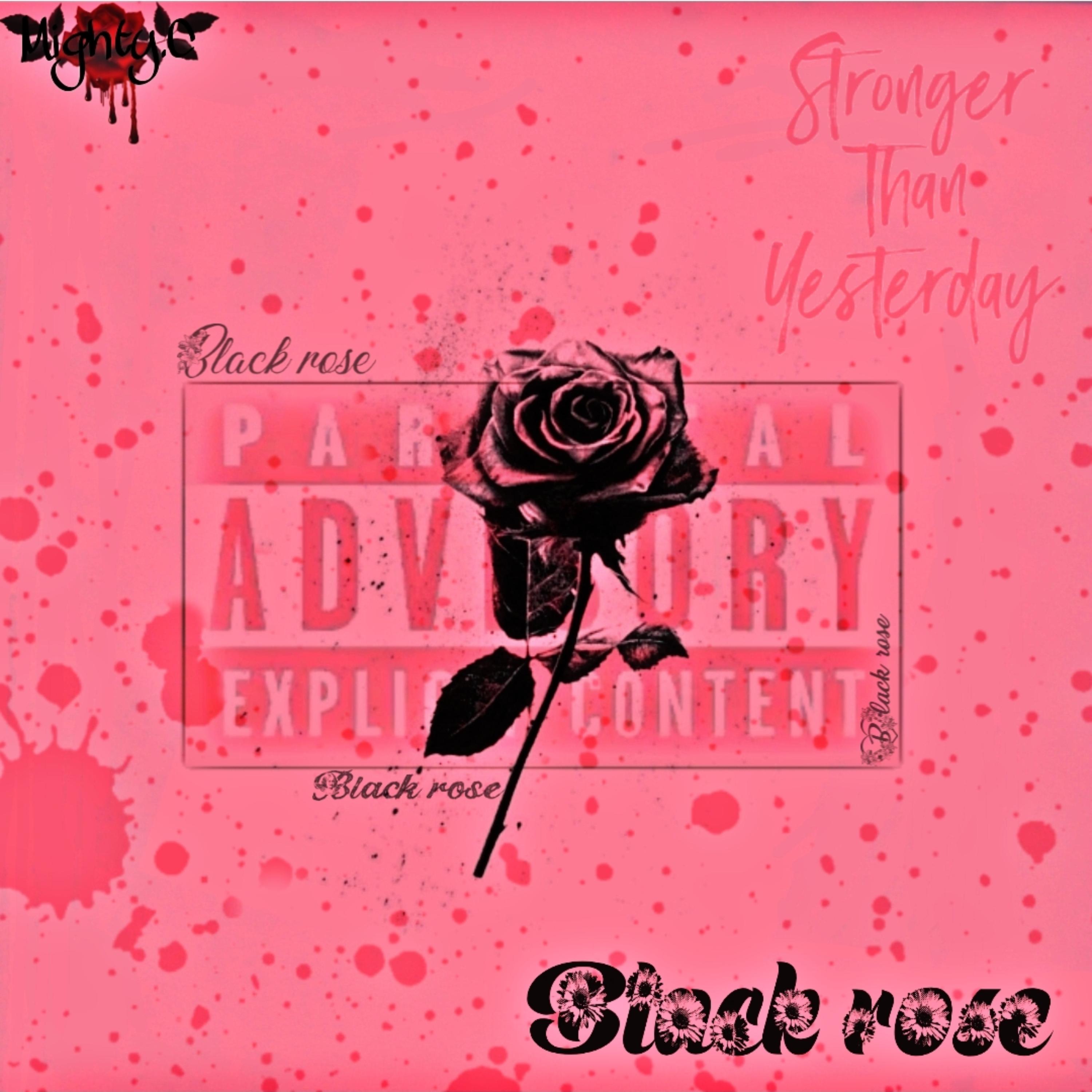 Black Rose artwork