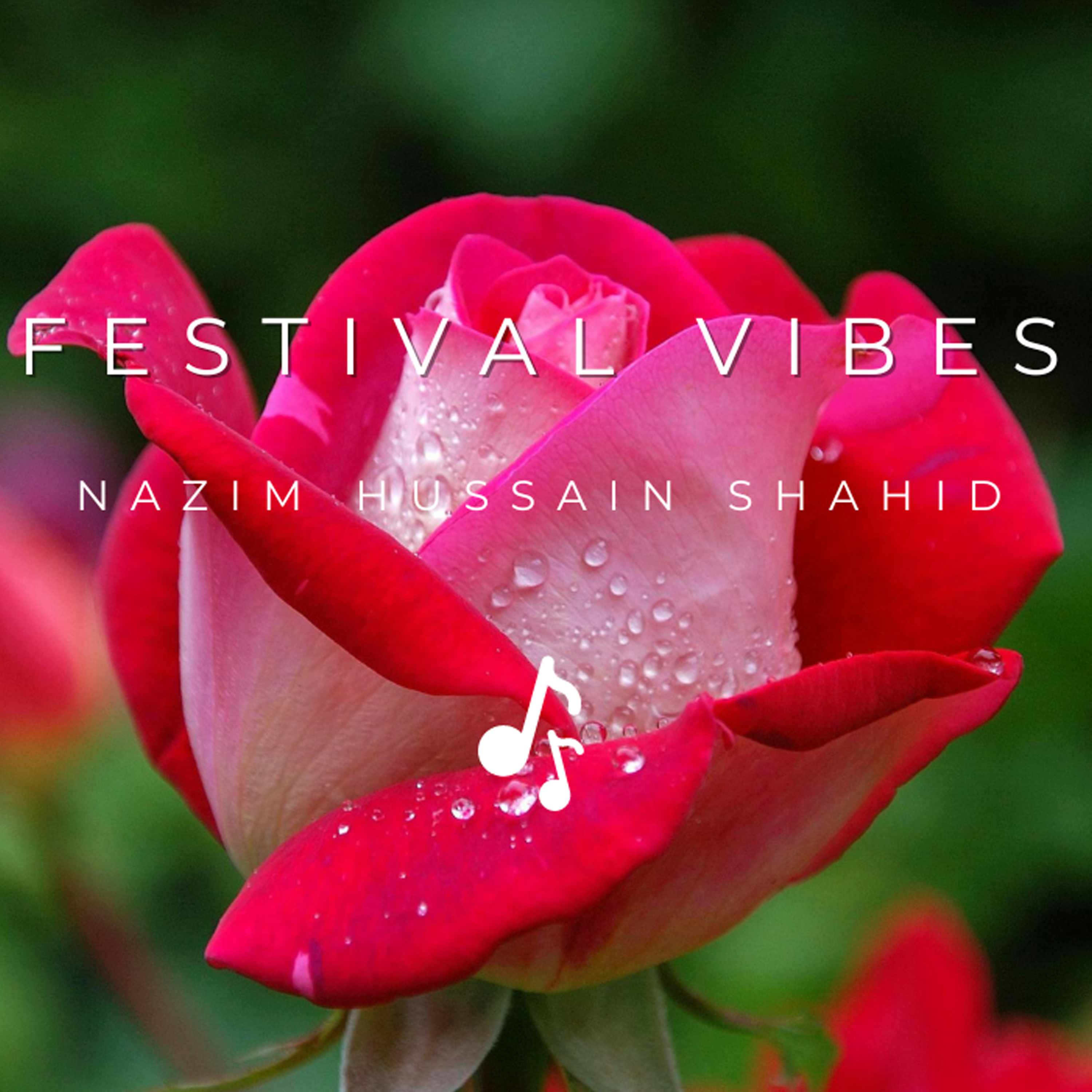 Festival Vibes artwork