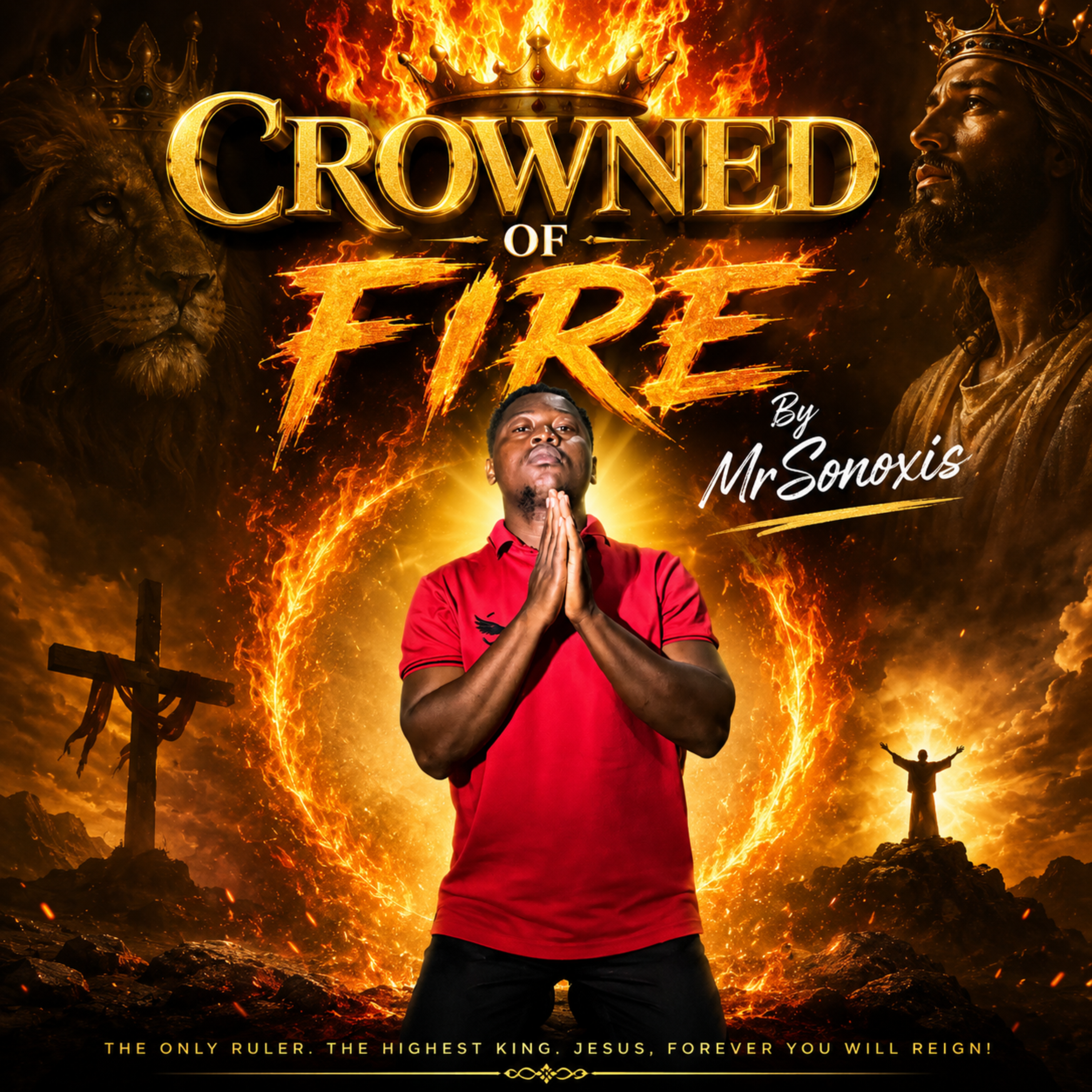 Crowned Of Fire by MrSonoxis cover art