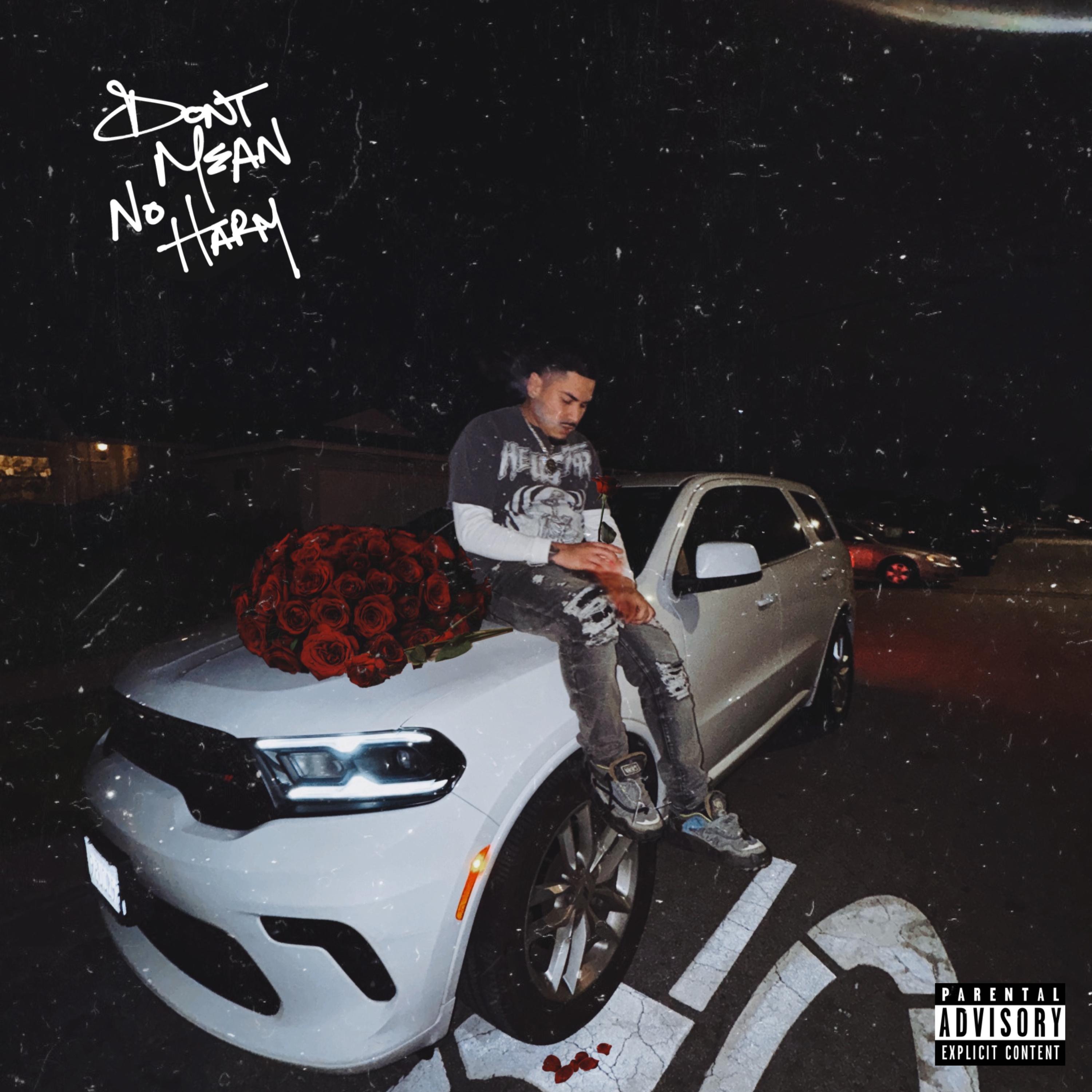 DONT MEAN NO HARM artwork