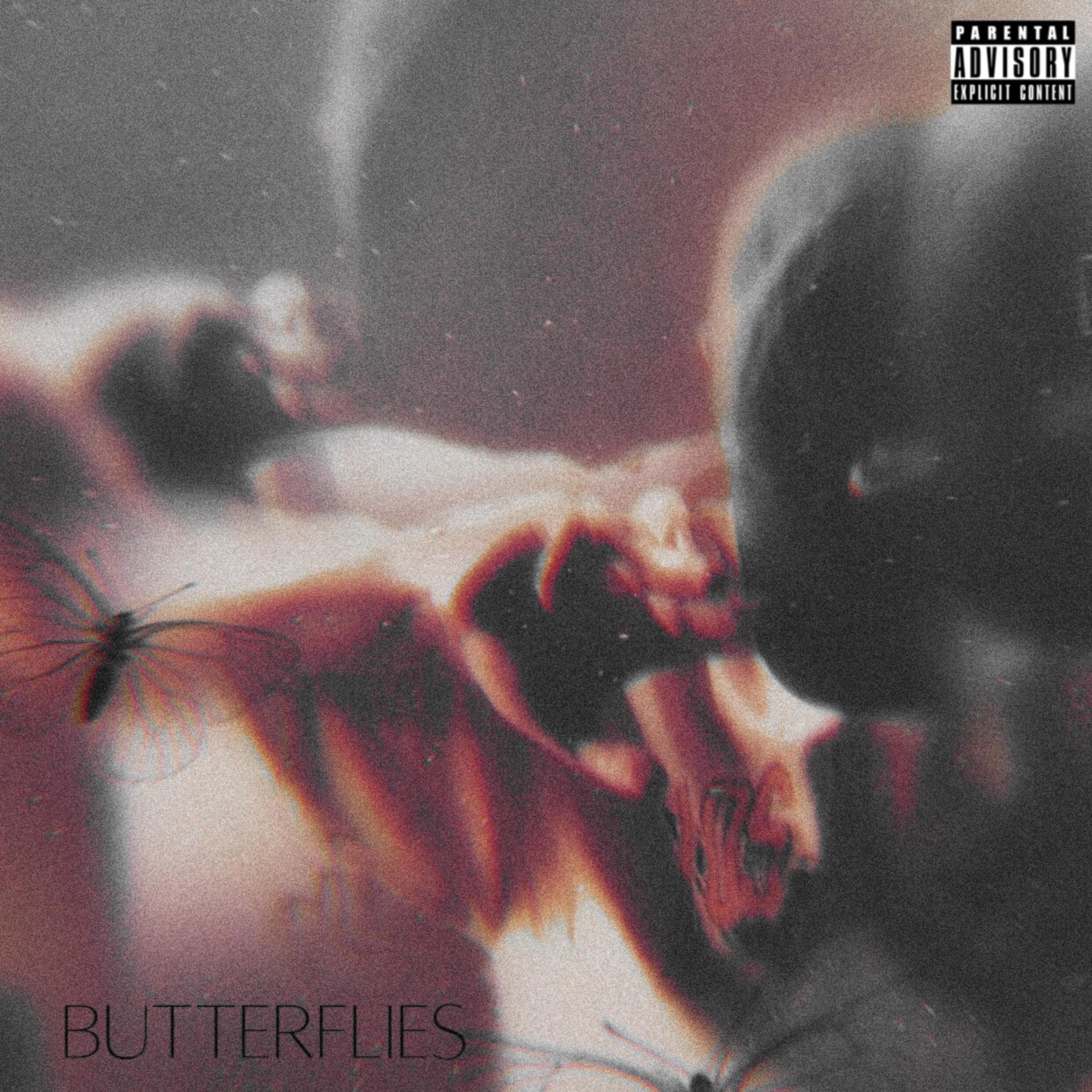 BUTTERFLIES artwork