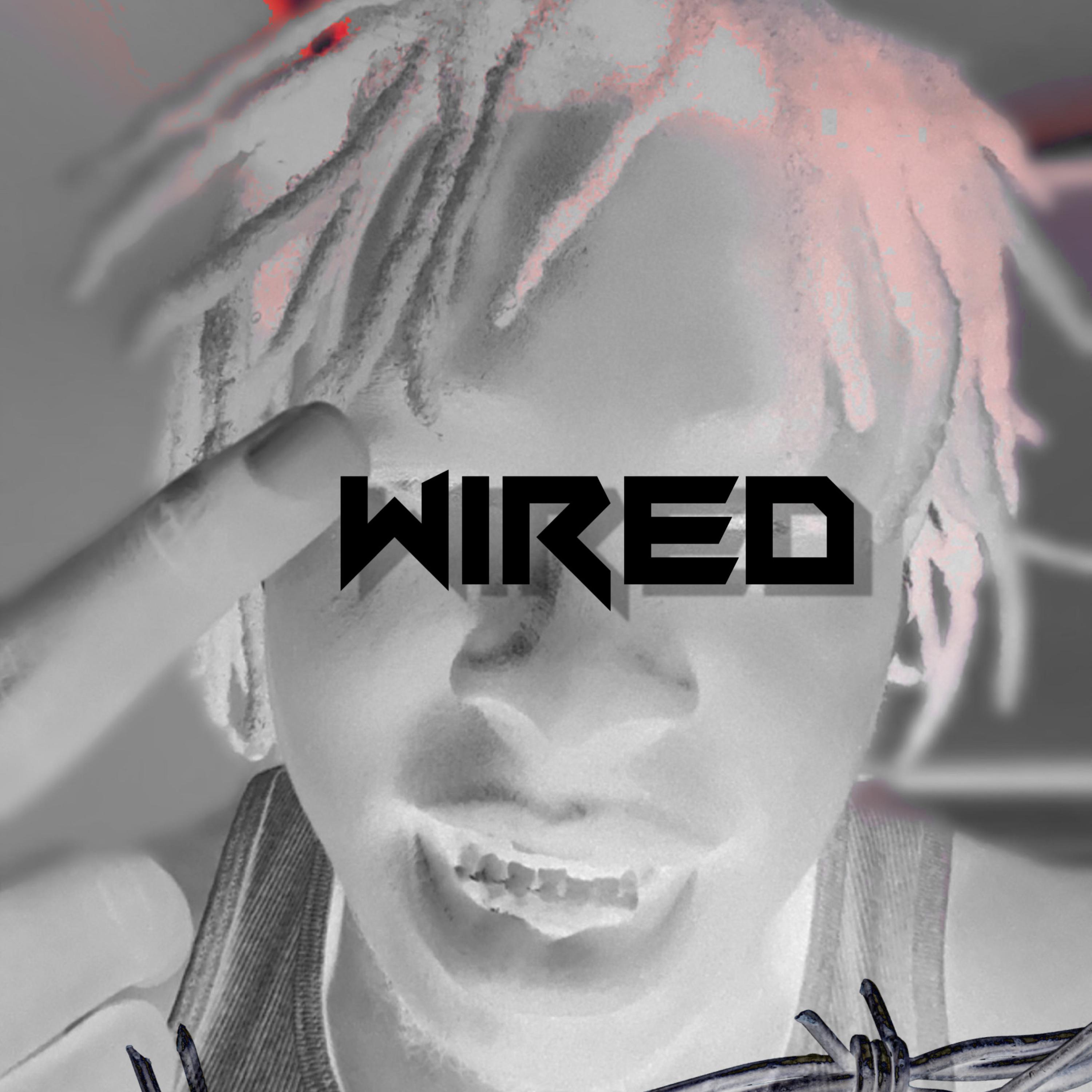 Wired artwork