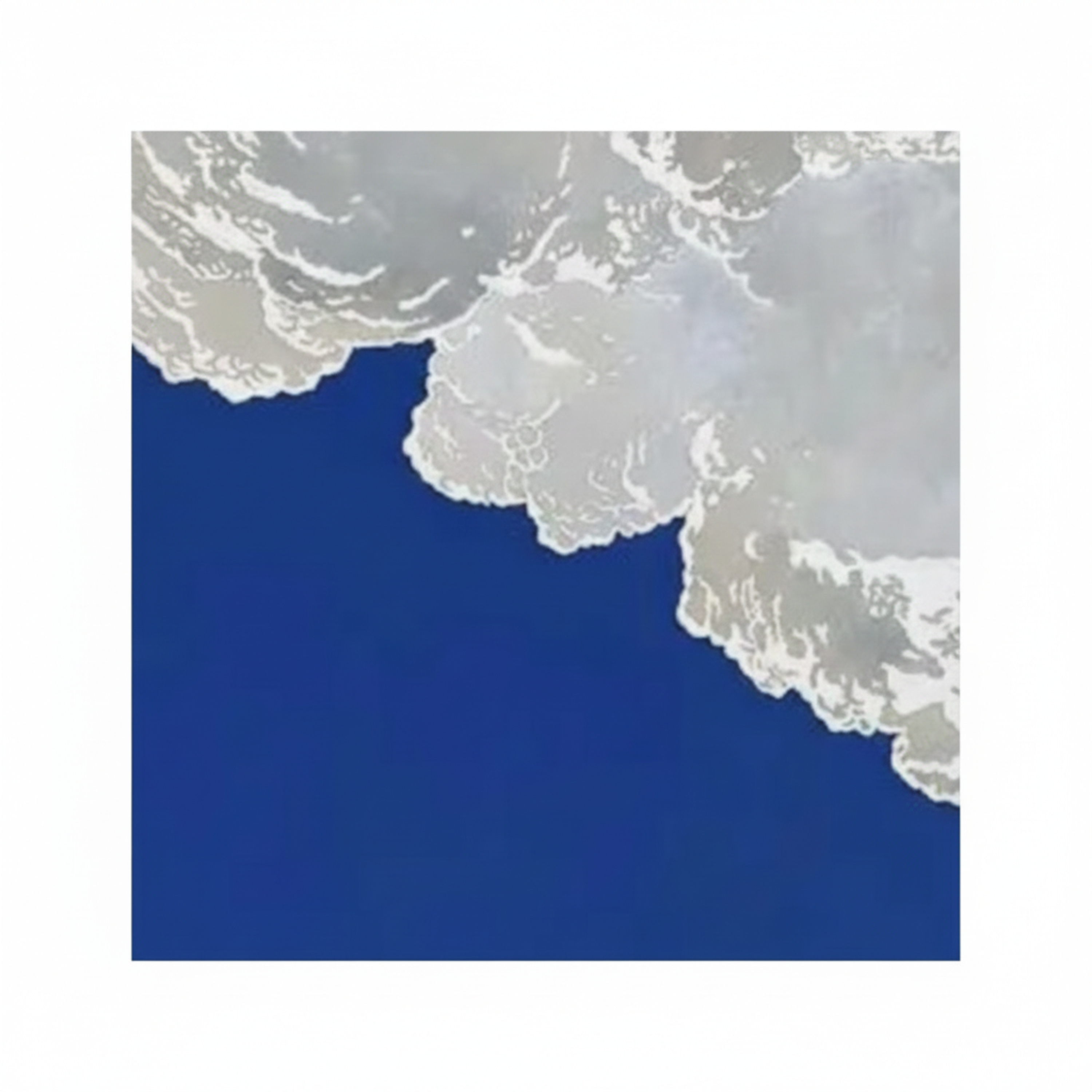 Animal Secret artwork