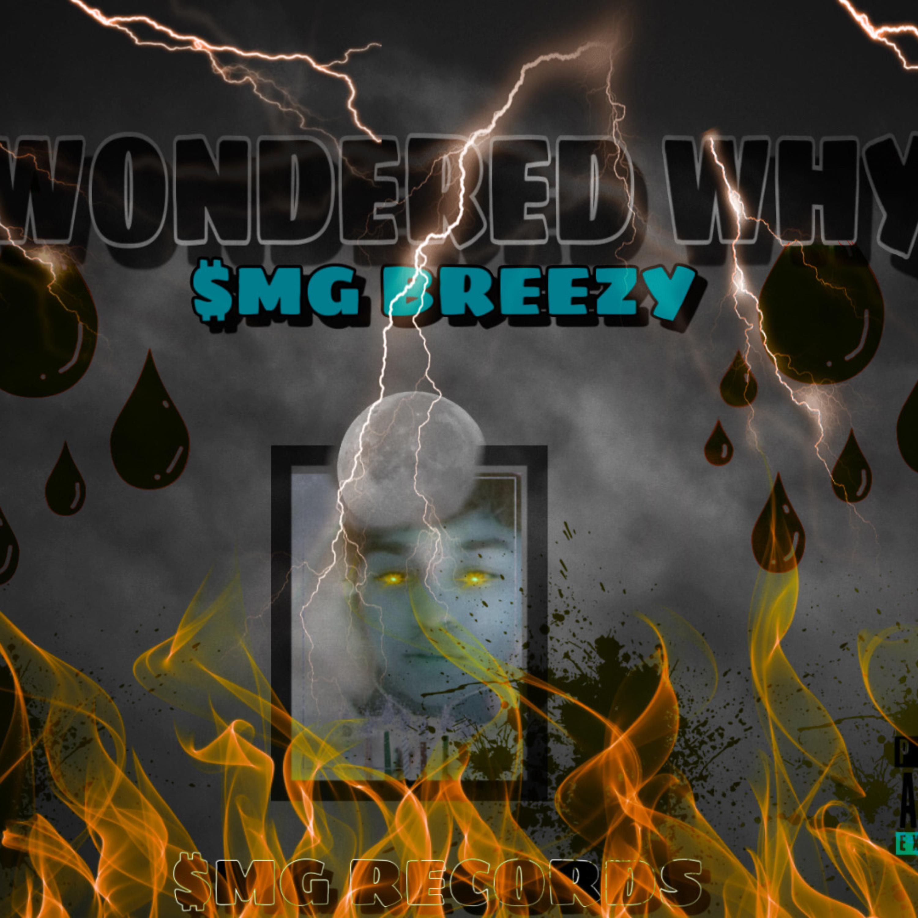 WONDERING WHY artwork