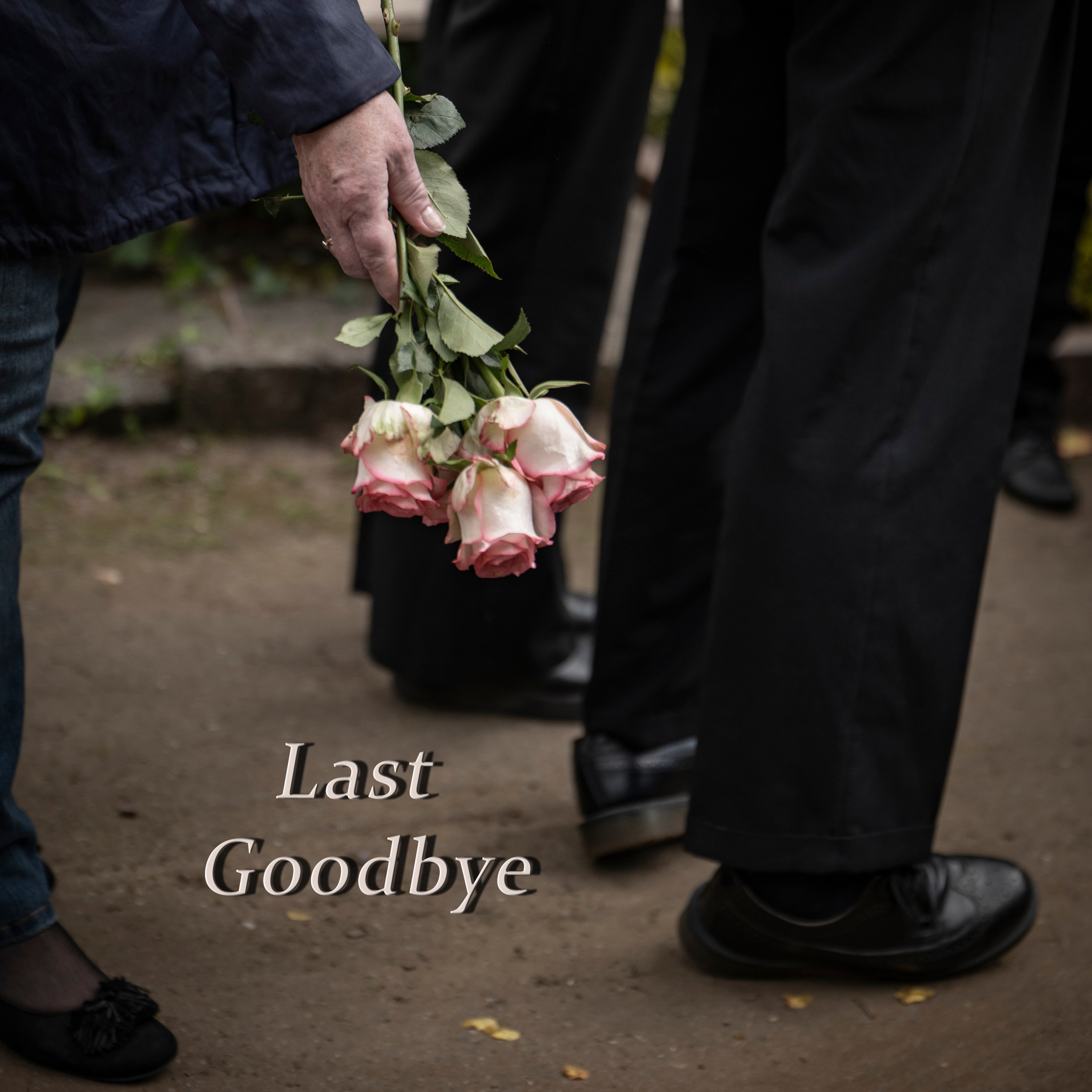 last goodbye by Eugenia Lofi cover art
