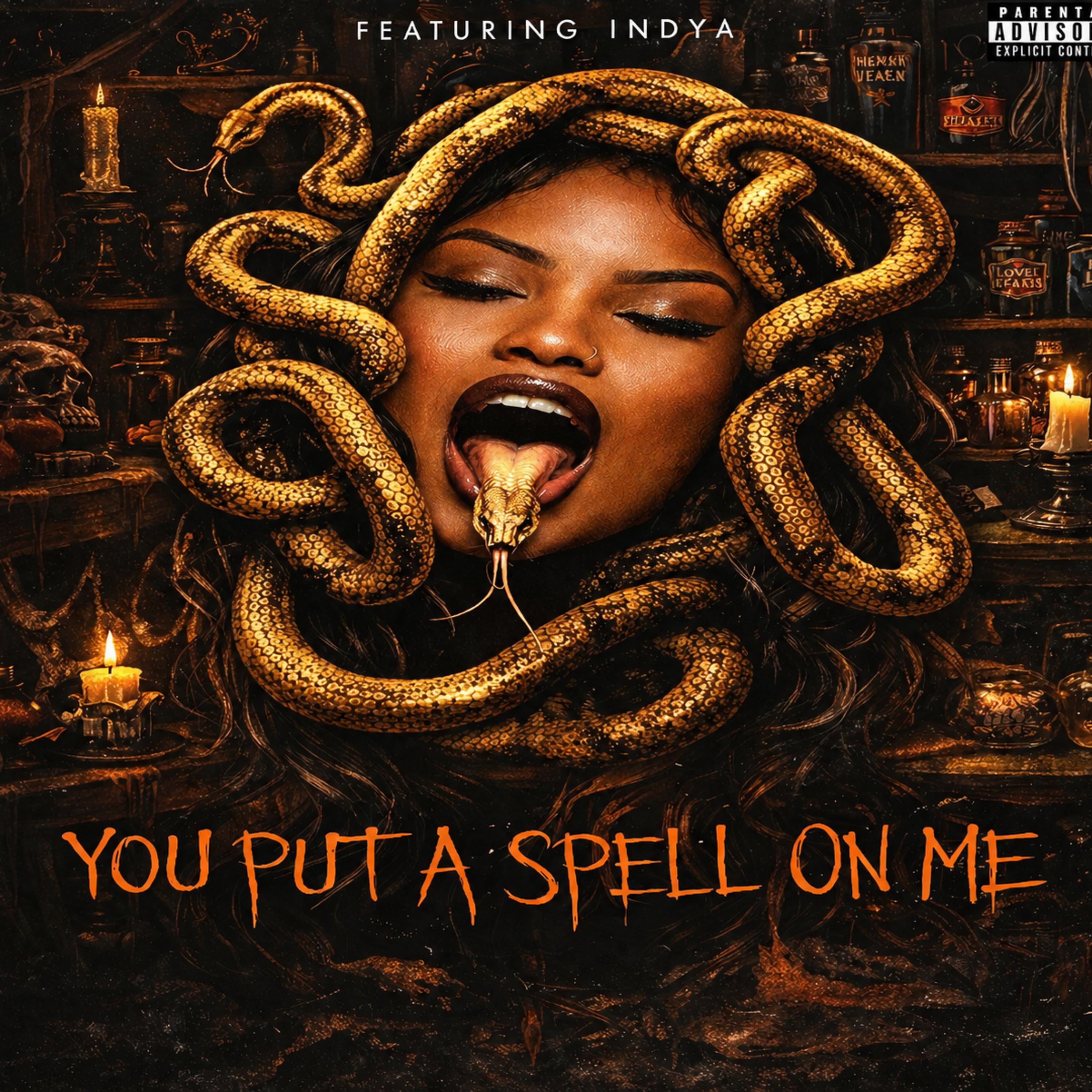 You Put A Spell On Me artwork