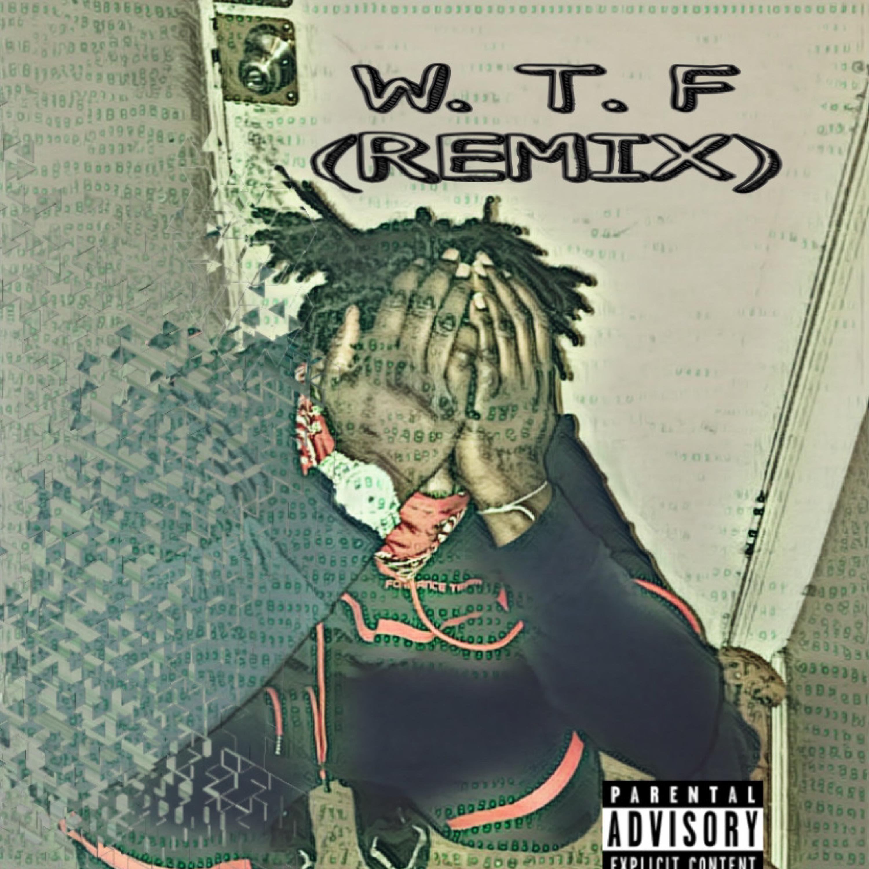 W.T.F (REMIX) artwork