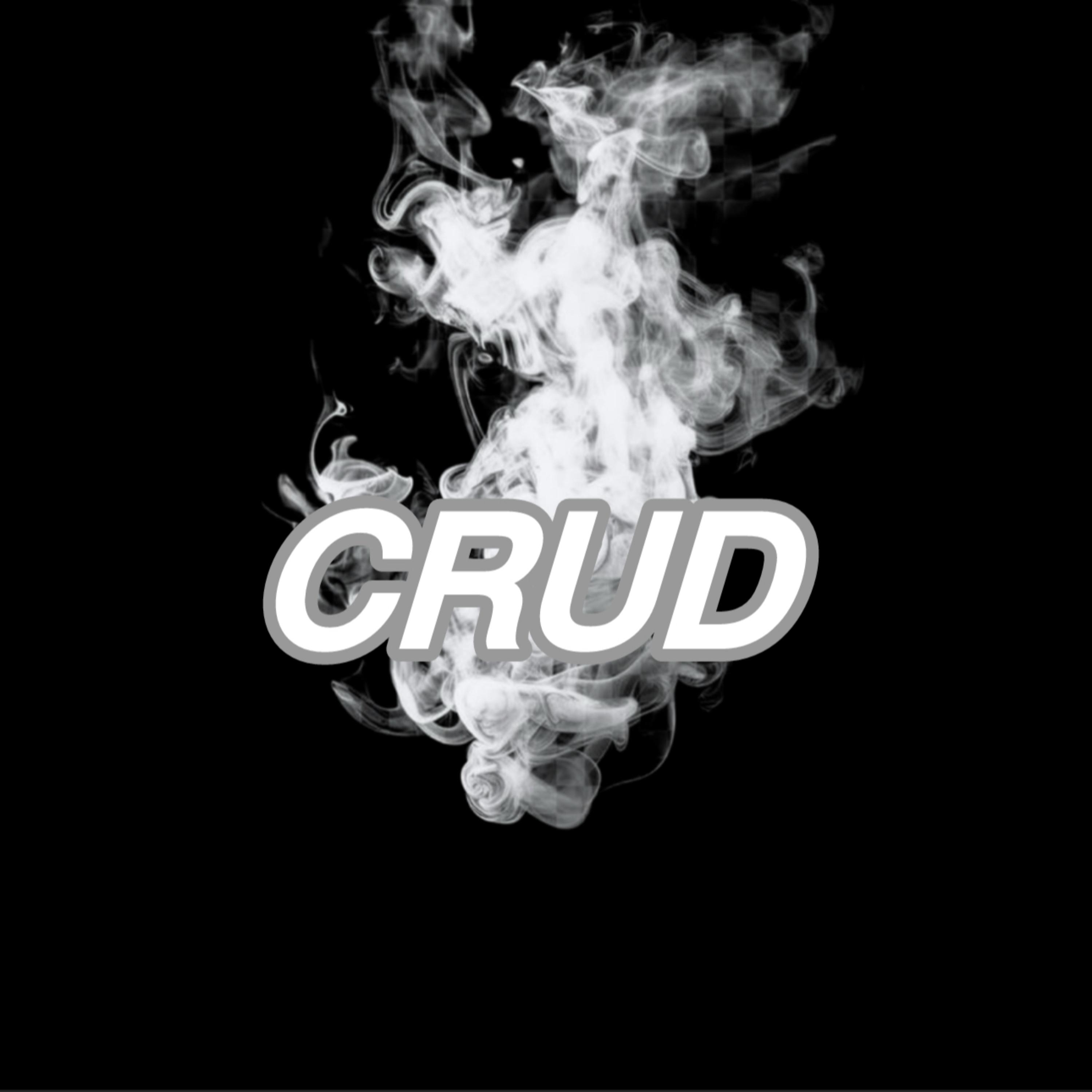 CRUD artwork