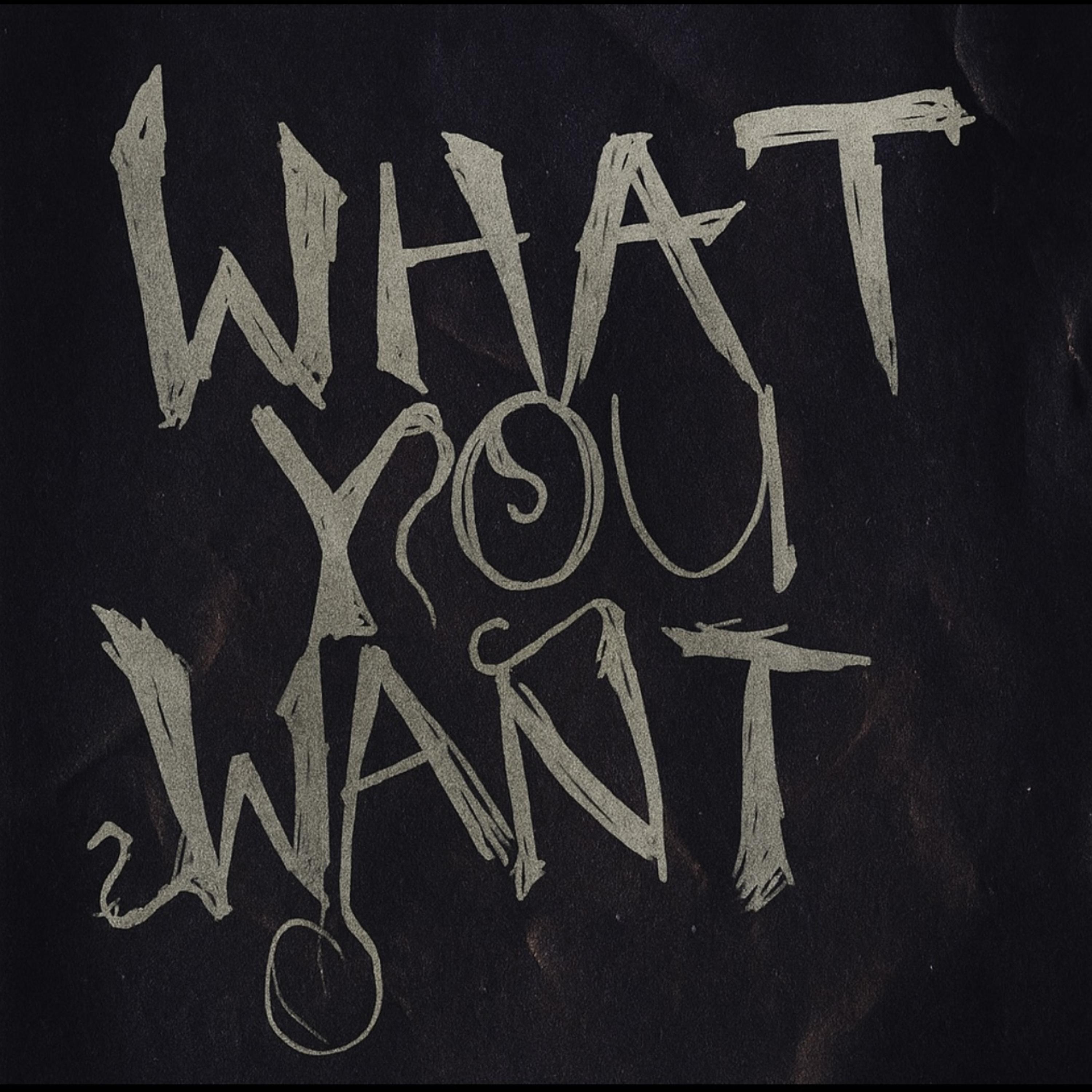 What You Want artwork