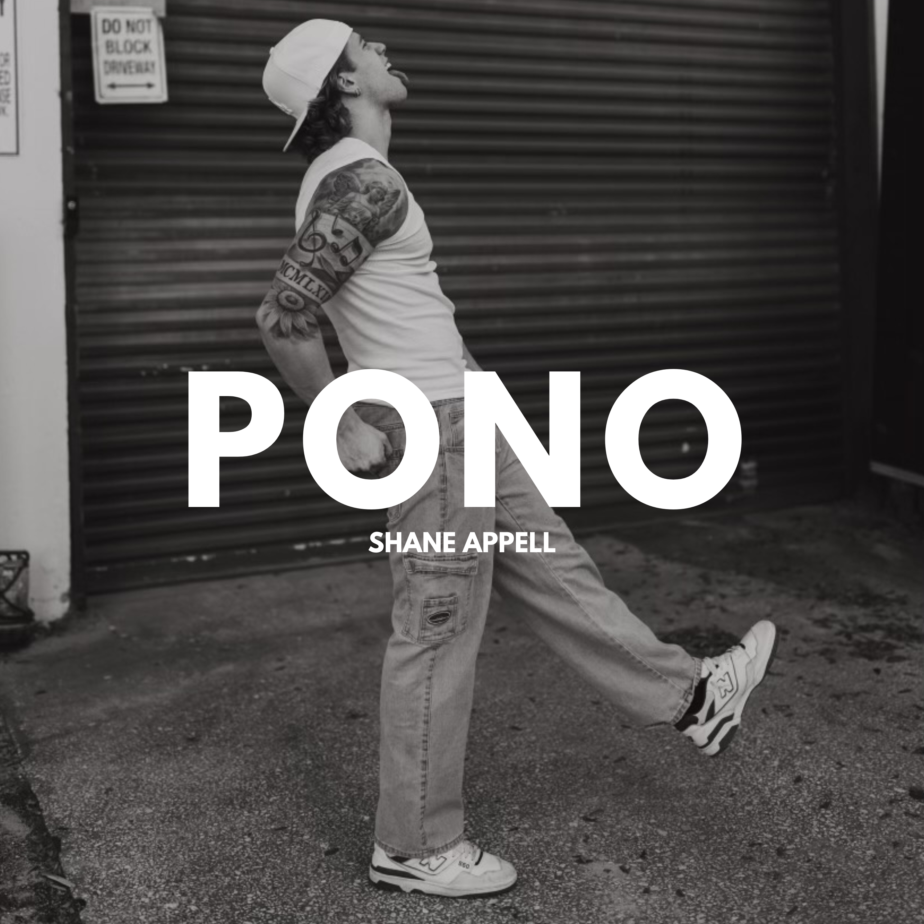 Pono artwork