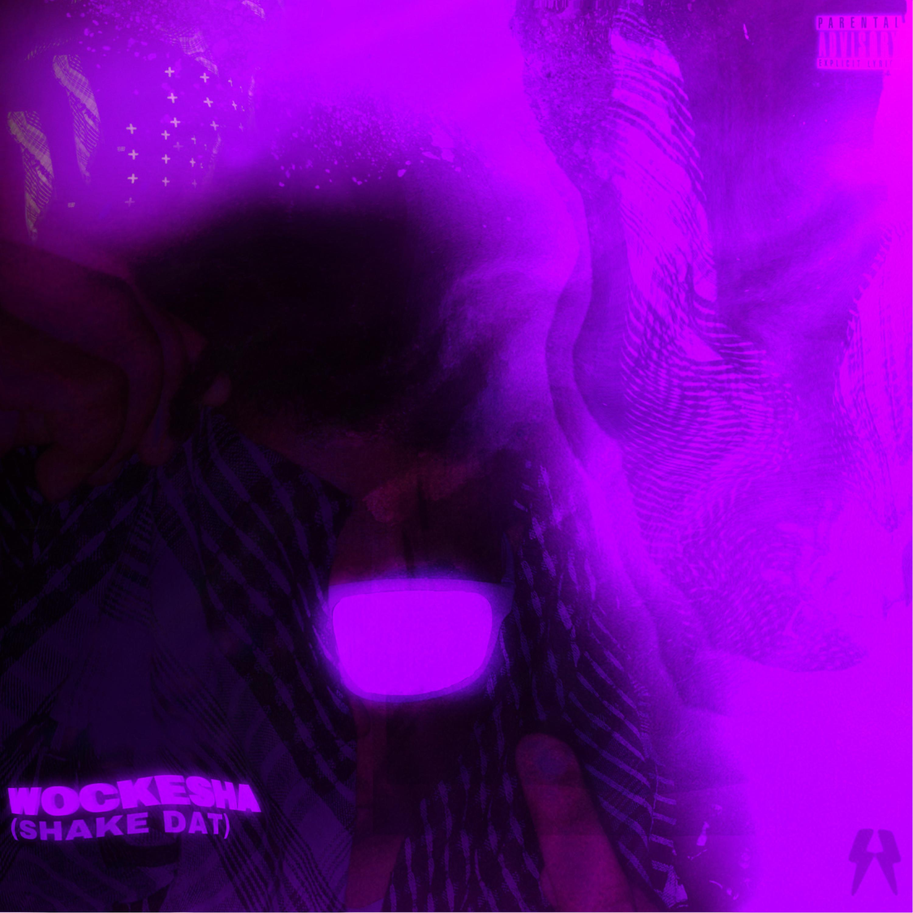 WOCKESHA(SHAKE DAT) artwork