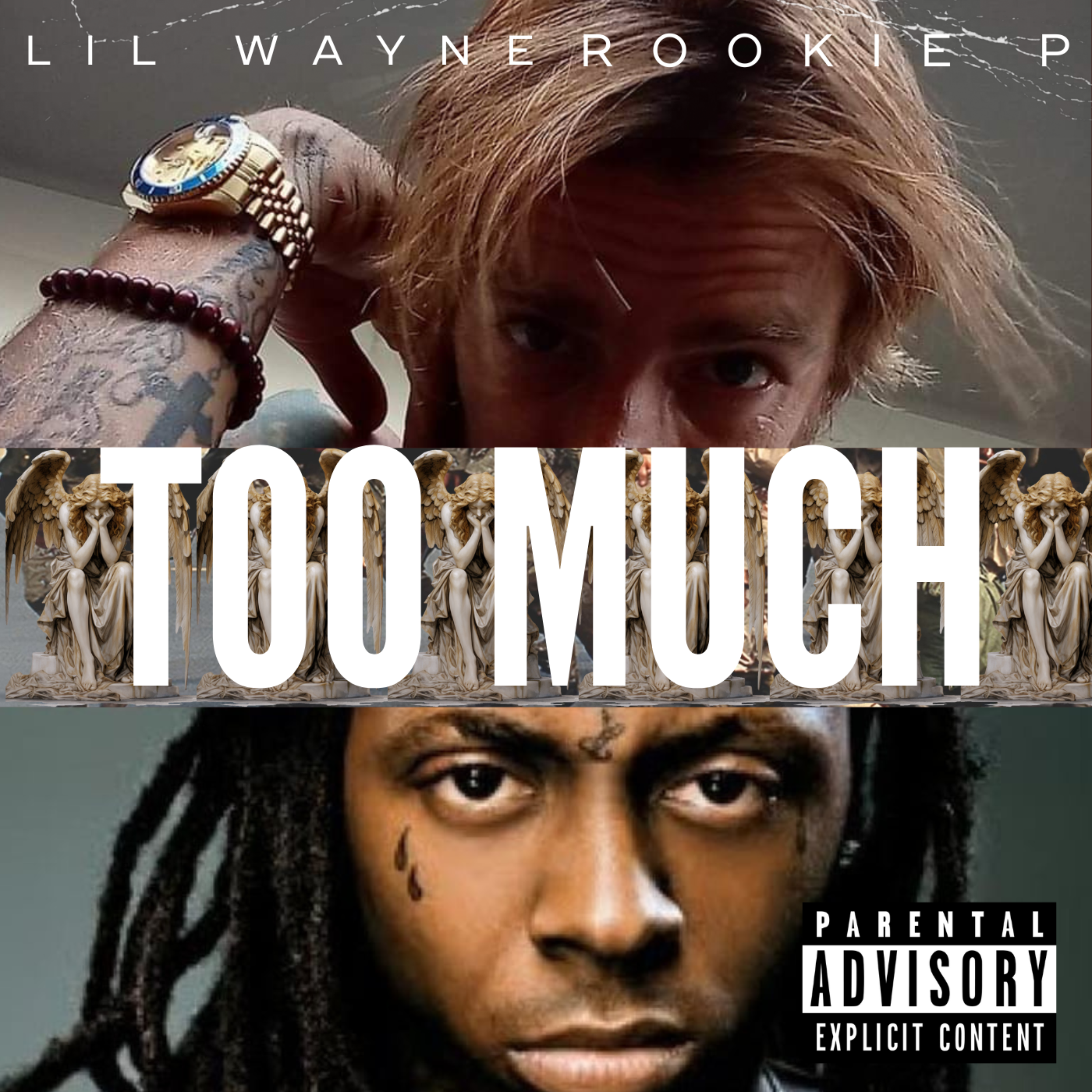 Too Much artwork